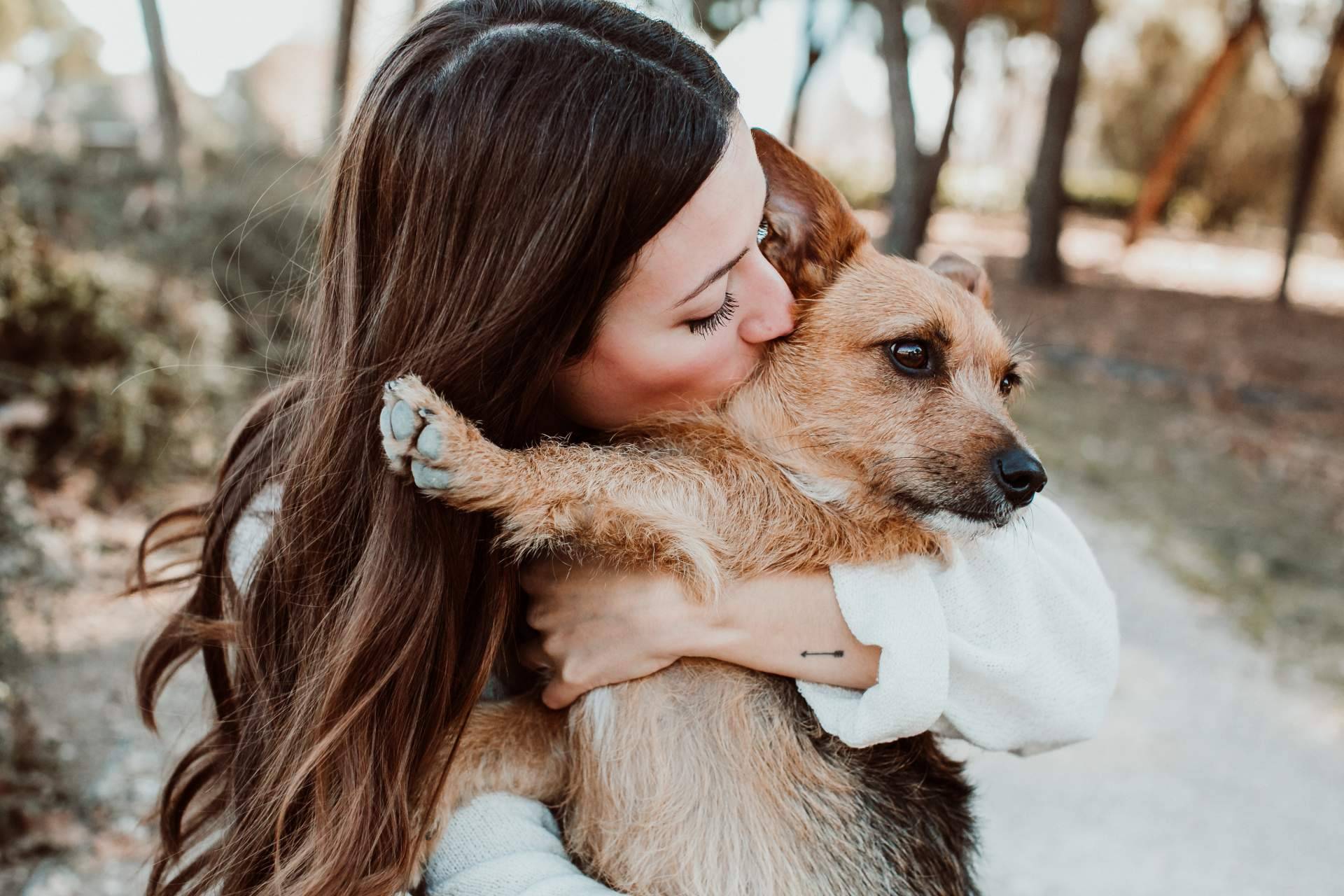 El increíble pienso hipoalergénico de salmón de ADOPTA permite una alimentación saludable y nutritiva para perros con sensibilidad alimentaria