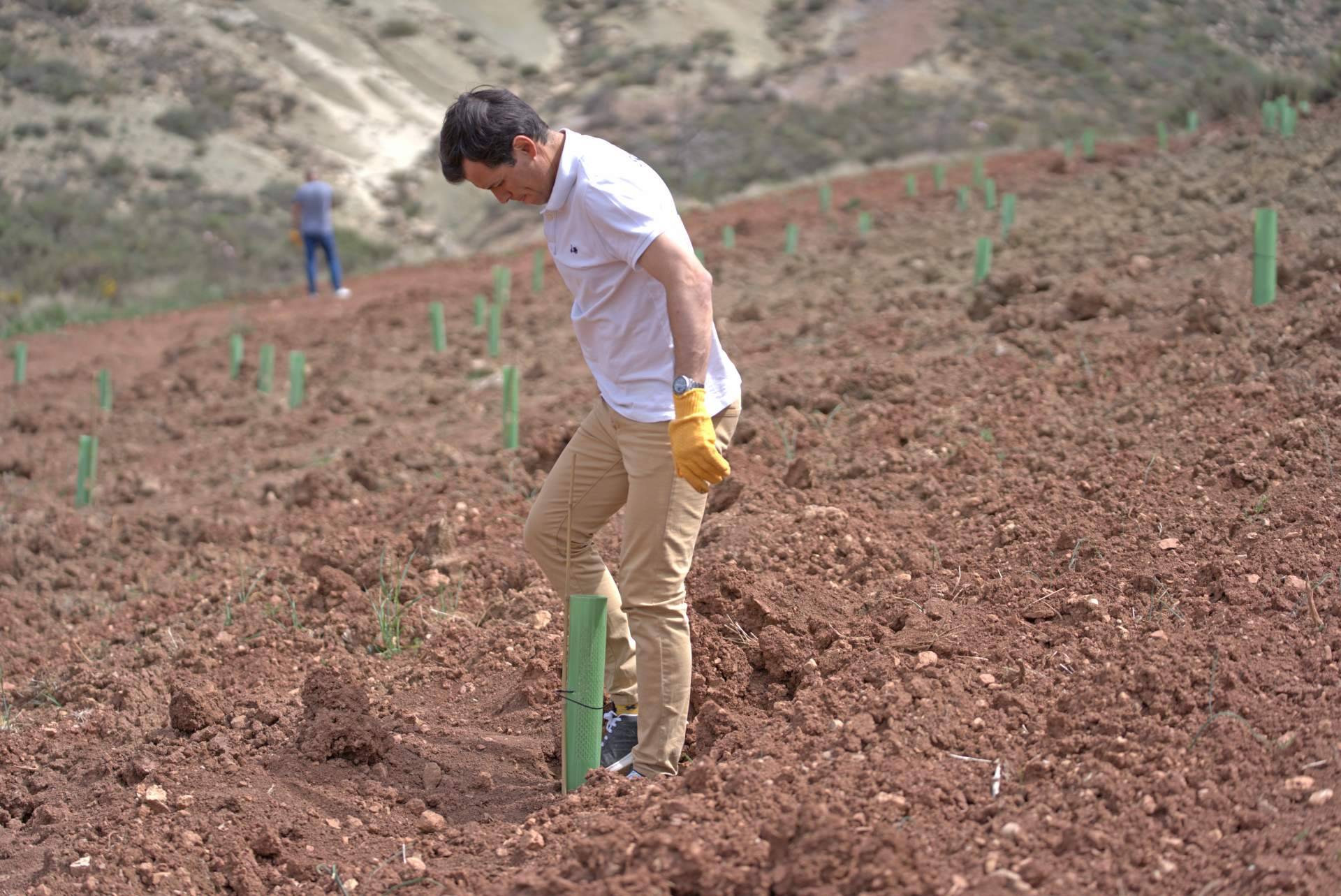 La iniciativa 'Juega tu papel', más comprometida que nunca con la creación de nuevos bosques