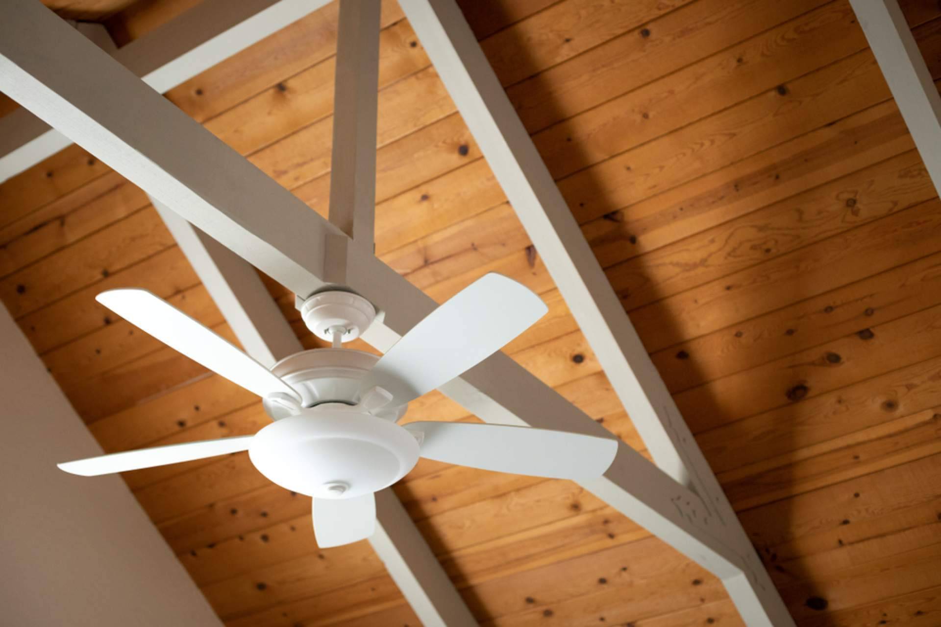 Ventiladores de techo, una solución económica para refrescar la casa ante el calor