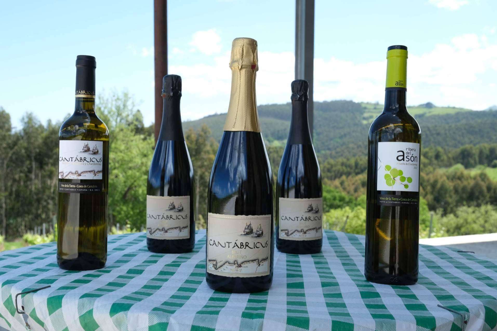 Bodegas Vidular, una historia de amor y respeto por el vino y la 'tierruca'