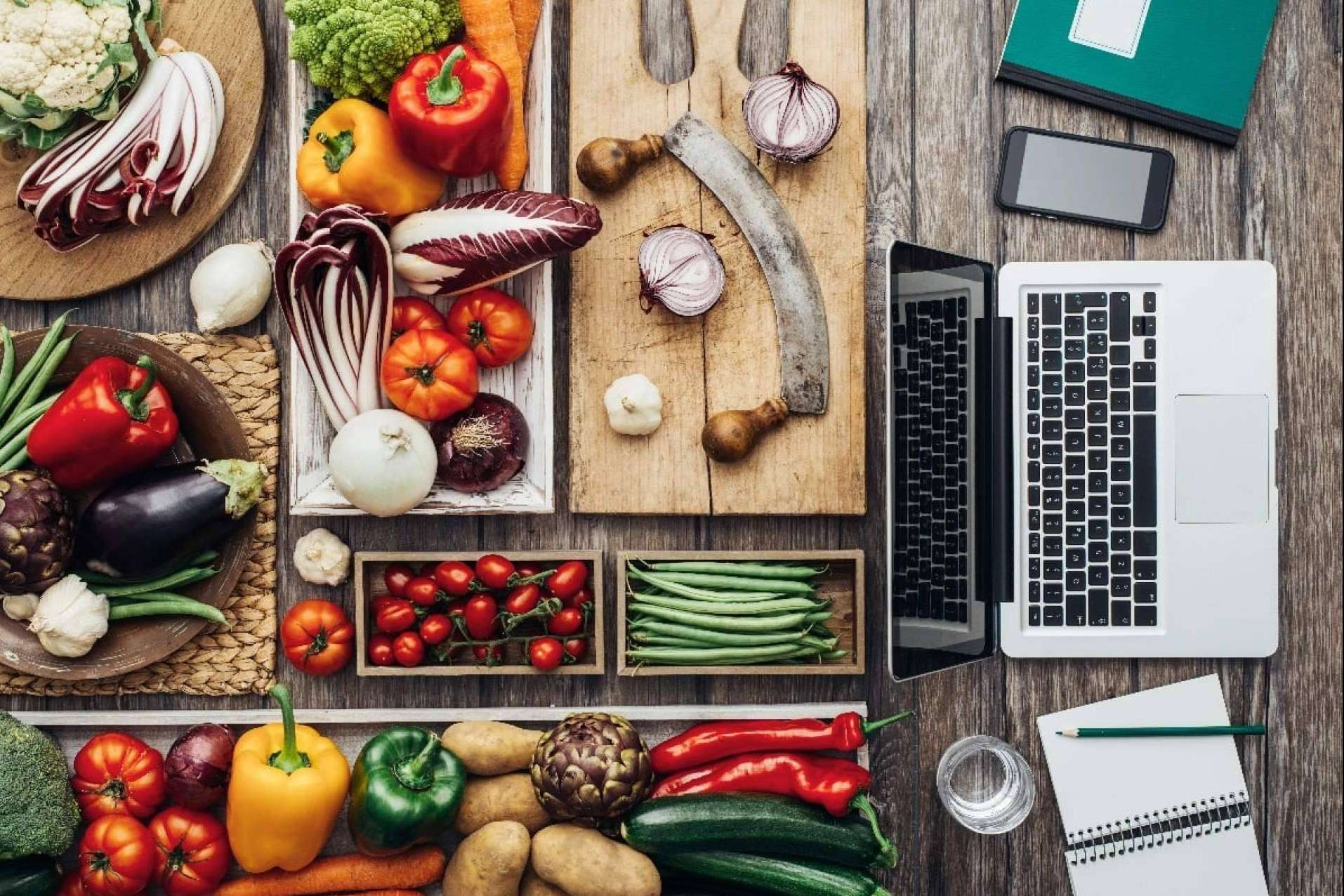 Una guía confiable hacia un estilo de vida saludable, Healthcircle Lifestyle