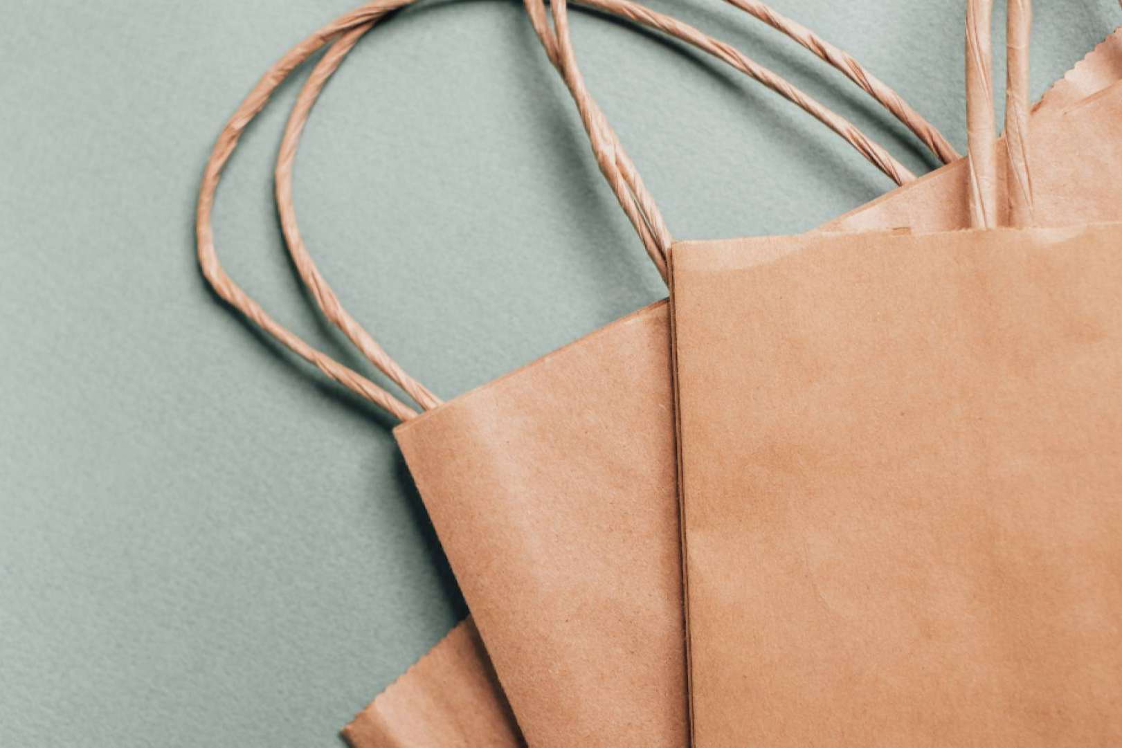 Ecobolsa, la fábrica de bolsas de papel que ofrece a los negocios una alternativa publicitaria y ecoamigable