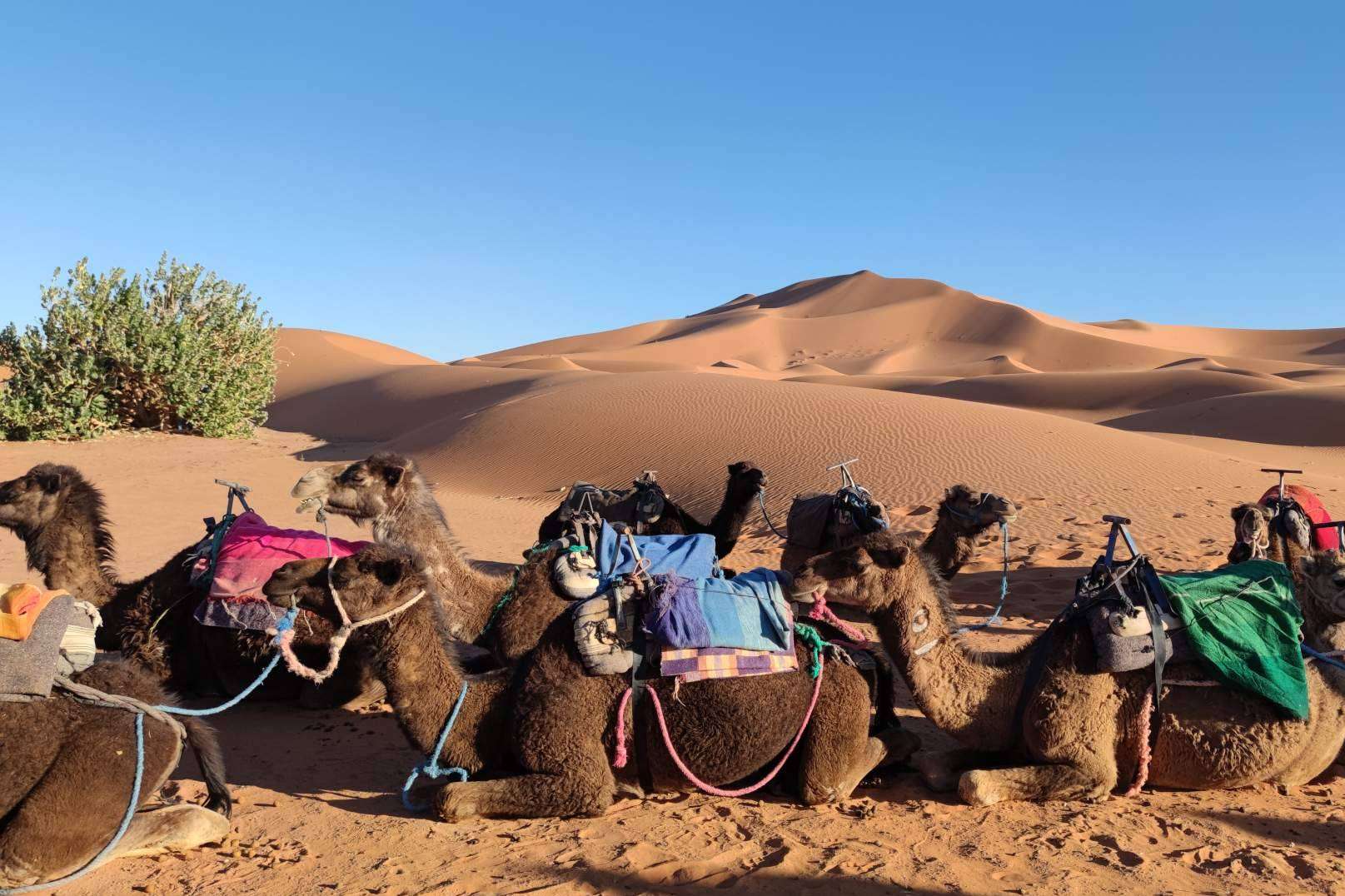 eeMindful permite meditar en el desierto de Merzouga