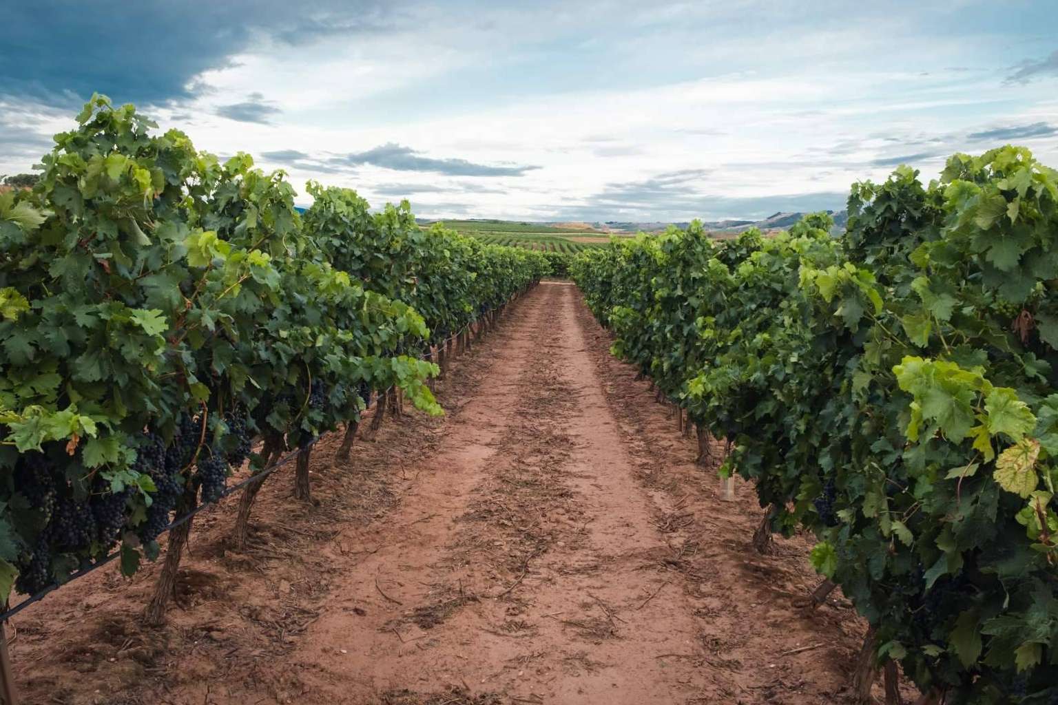 10 trámites que se tienen que saber si se tiene una finca o terreno