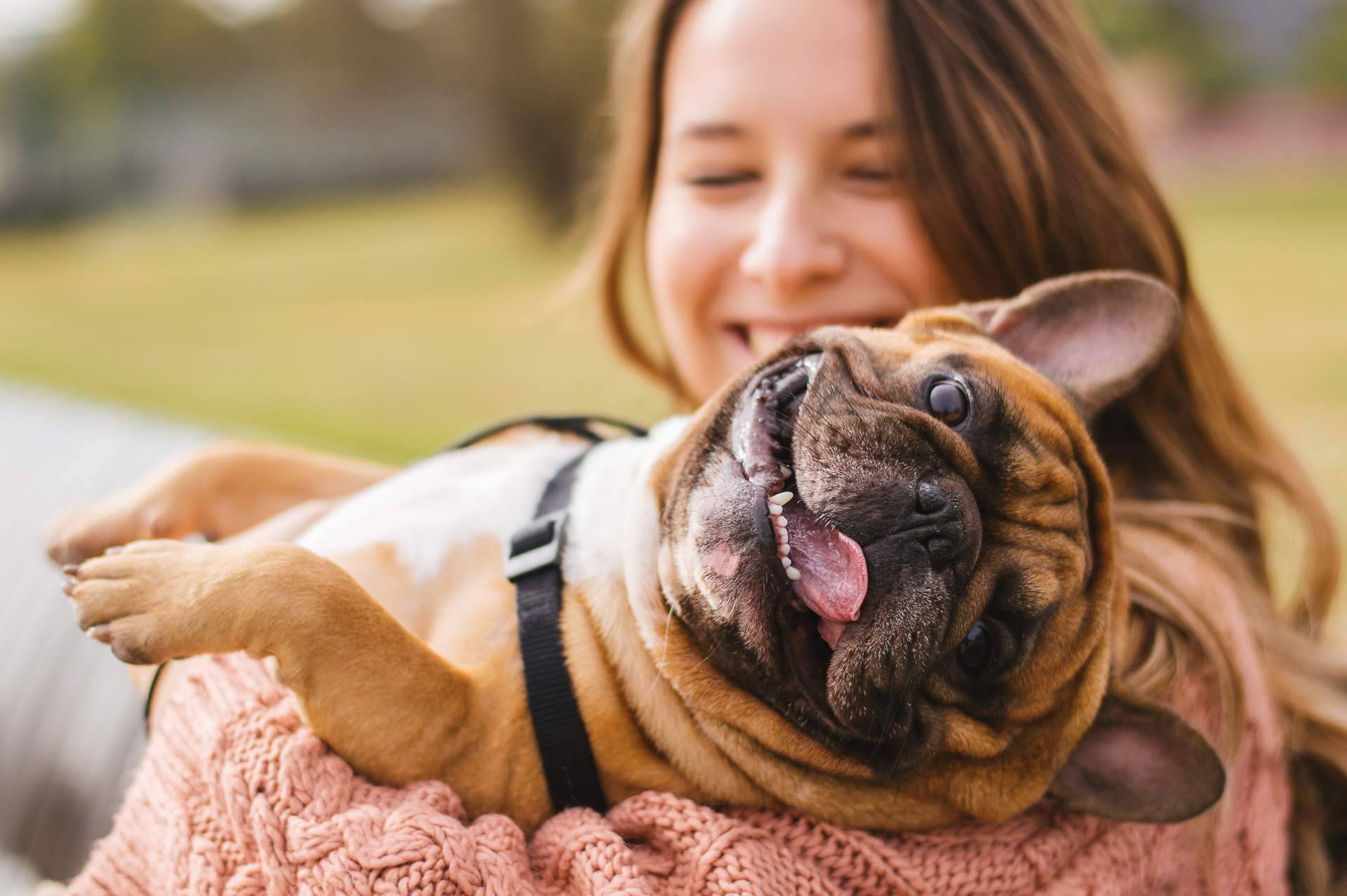 El adiestramiento y el amor son insuficientes para tener el perro que se quiere