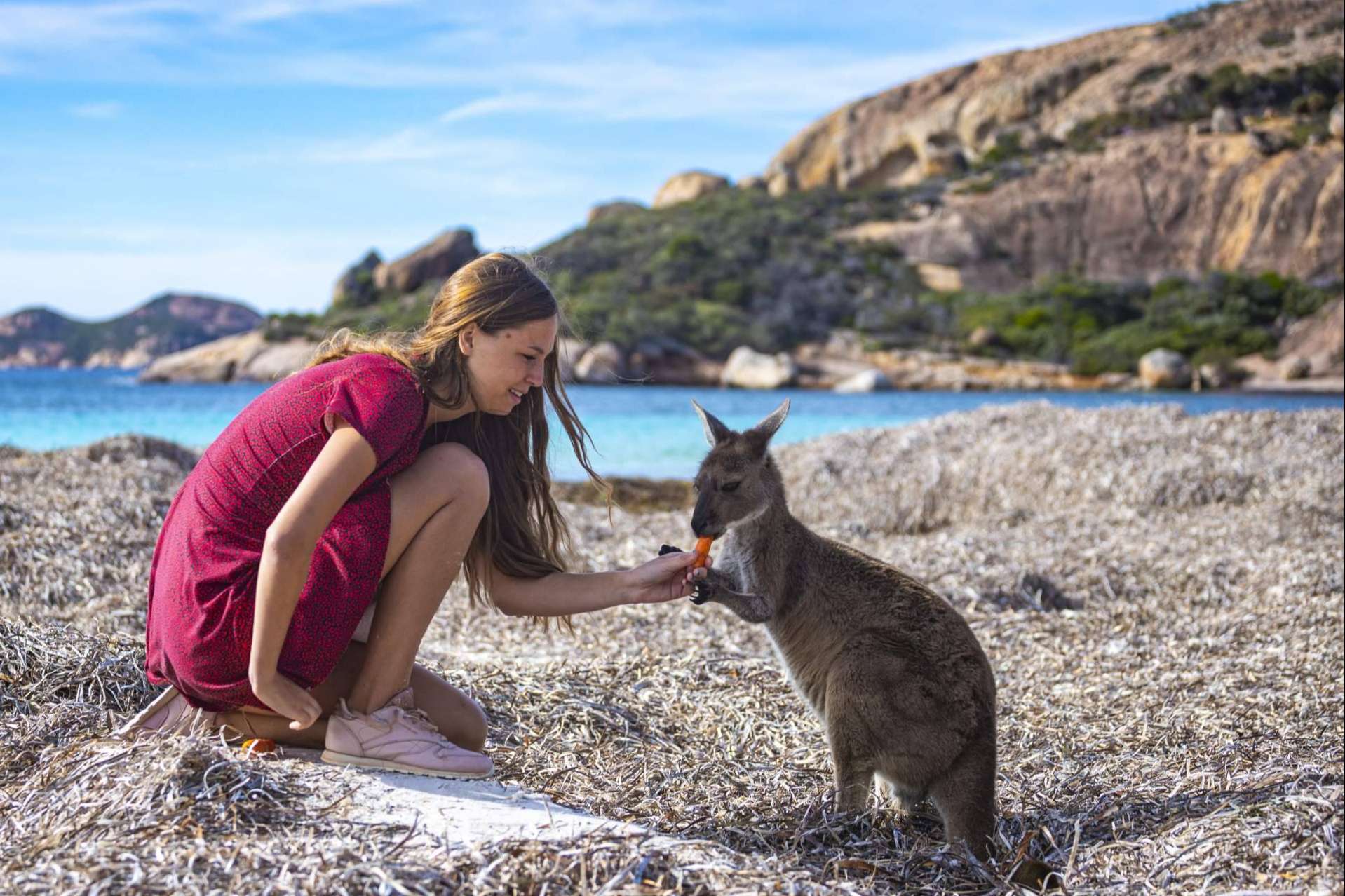El país de las oportunidades para emigrar sin saber inglés es Australia