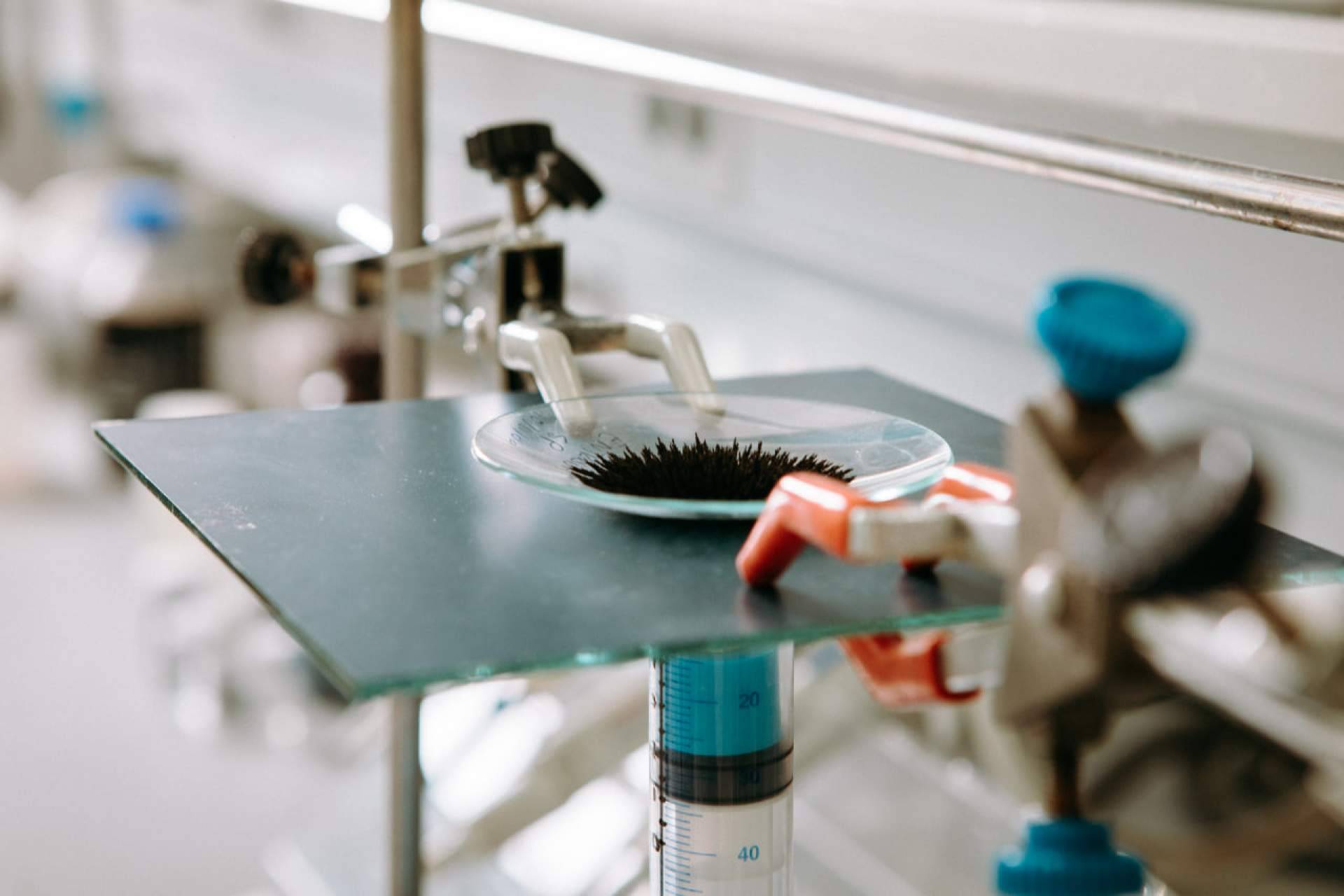 ¿Cuáles son los beneficios ambientales y económicos de las nanopartículas de hierro?, por Calpech
