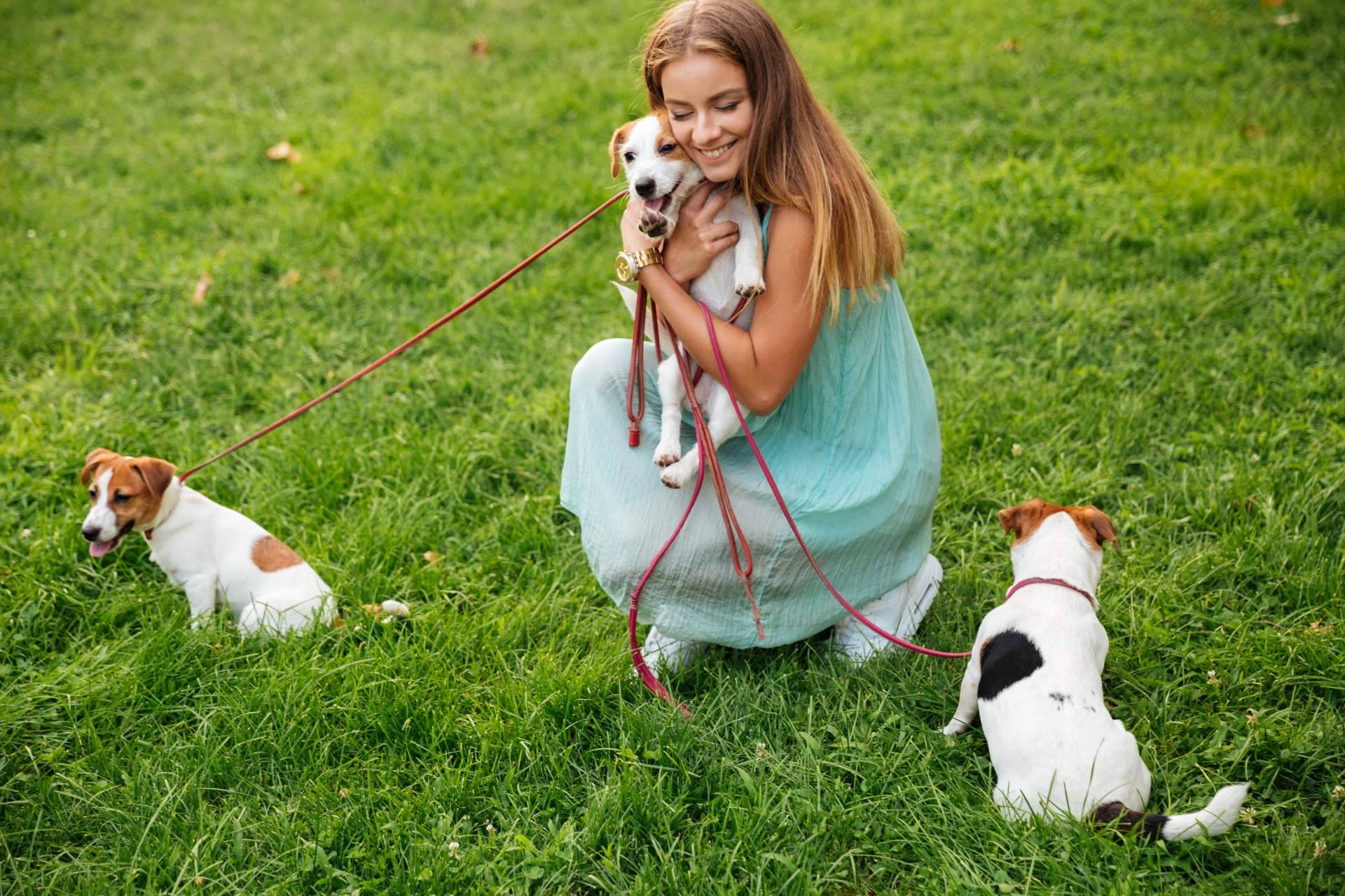 Más de 20.000 usuarios ya forman parte del Tinder de las mascotas, Social Animals