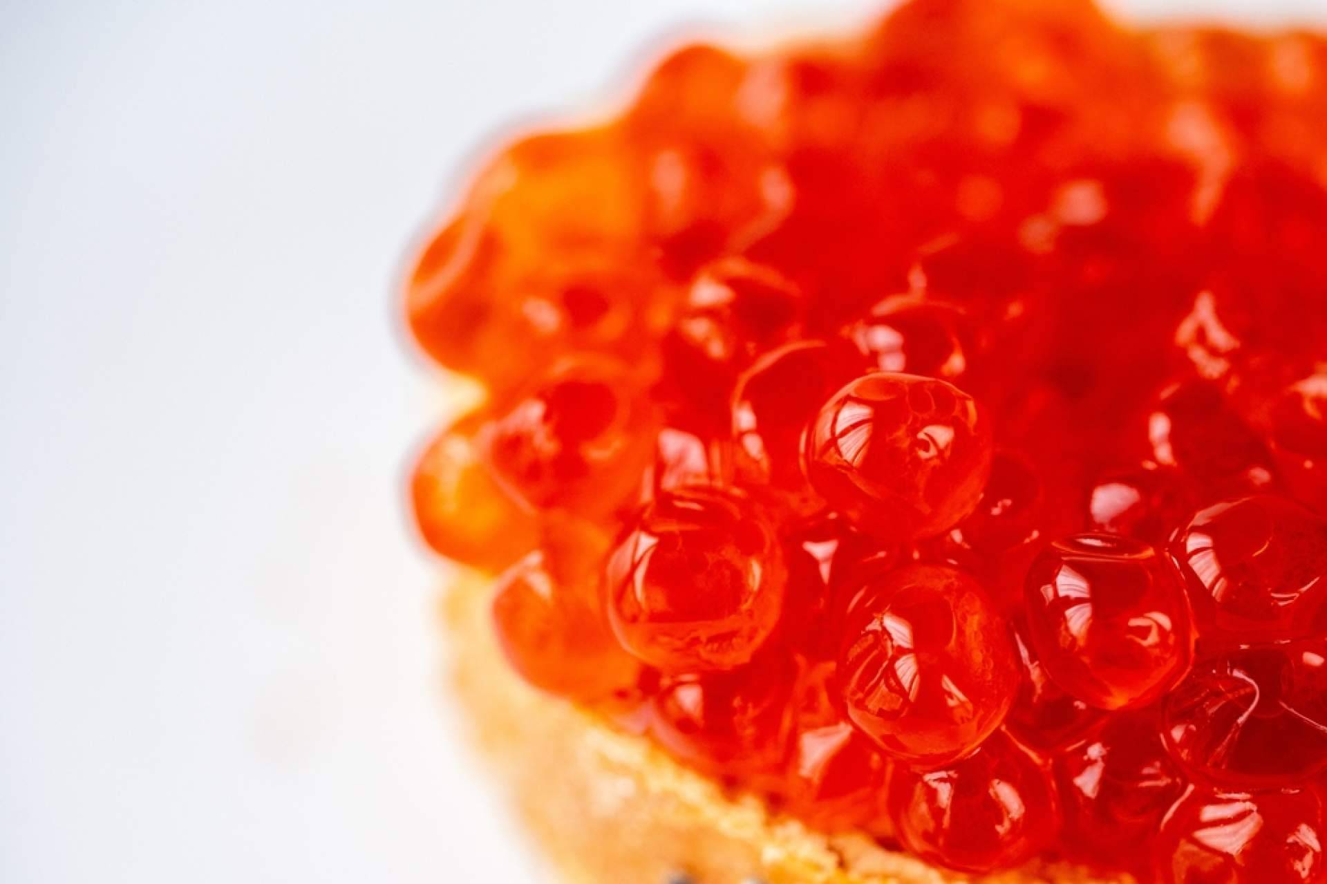 Las propiedades de las huevas de salmón, por Spherika