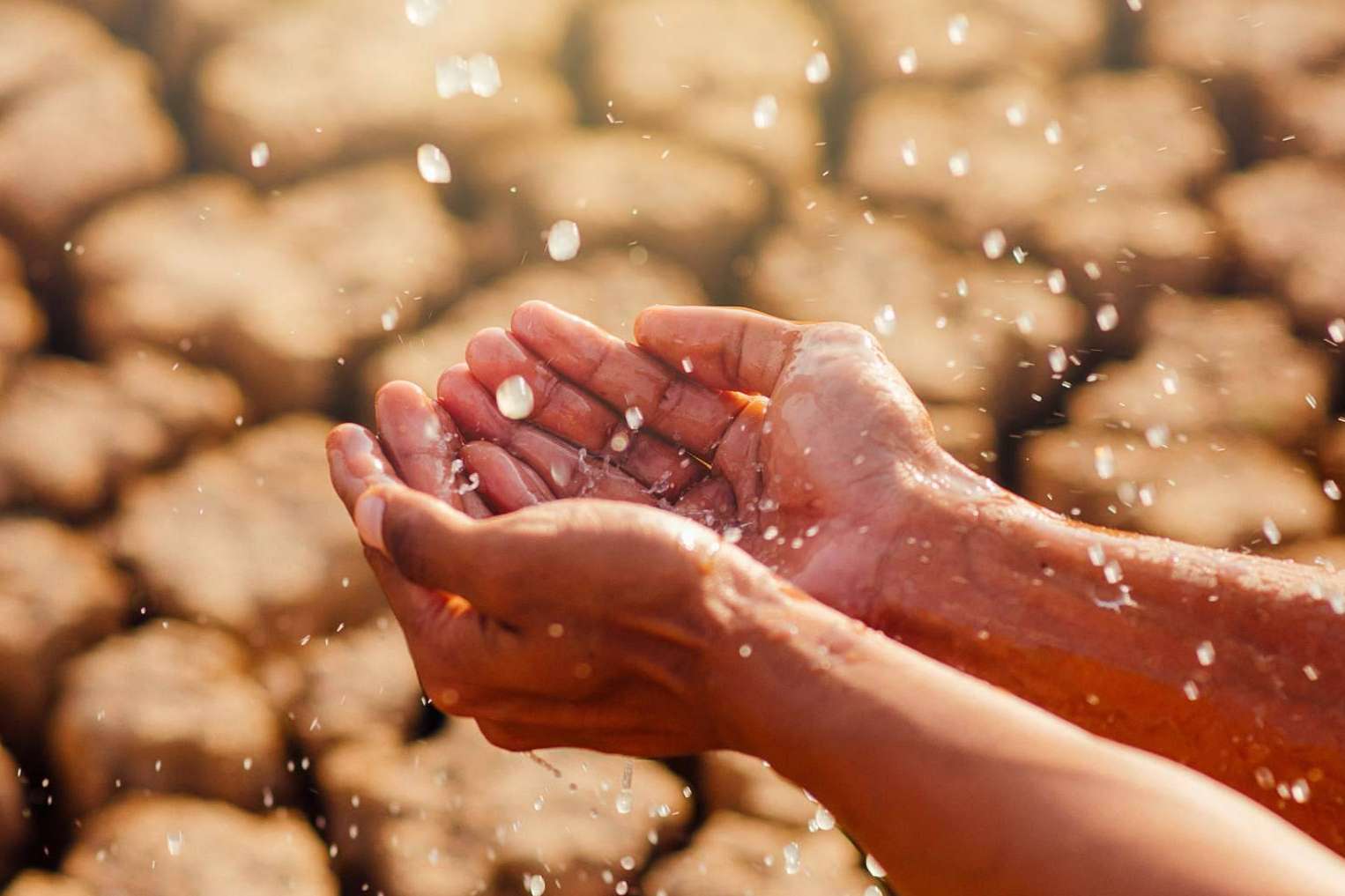 Pluvial y 3P Technik, una colaboración para enfrentar con el 3P Rainbow la escasez de agua