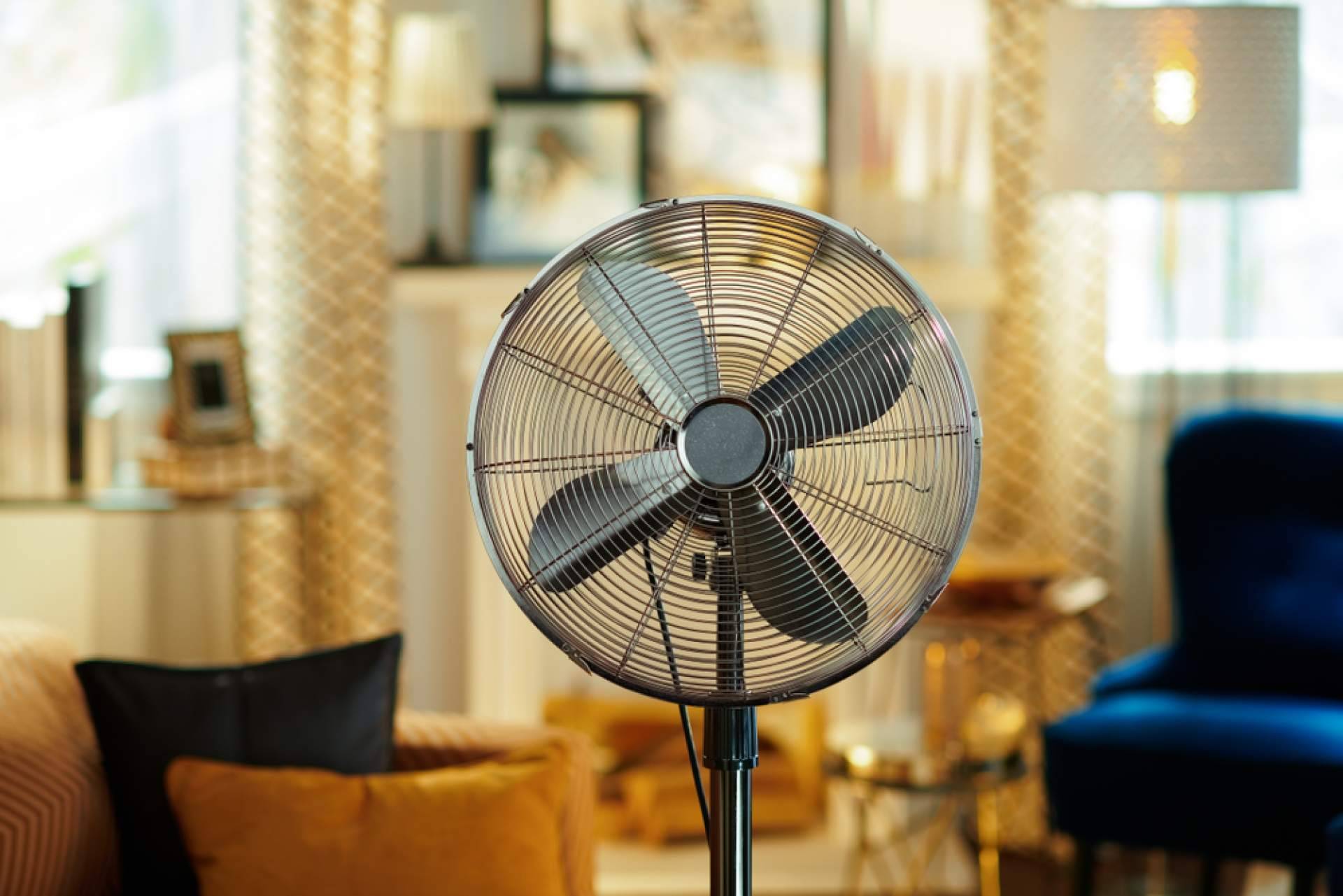 Latiendadeelectricidad.com y su amplio catálogo de ventiladores de techo