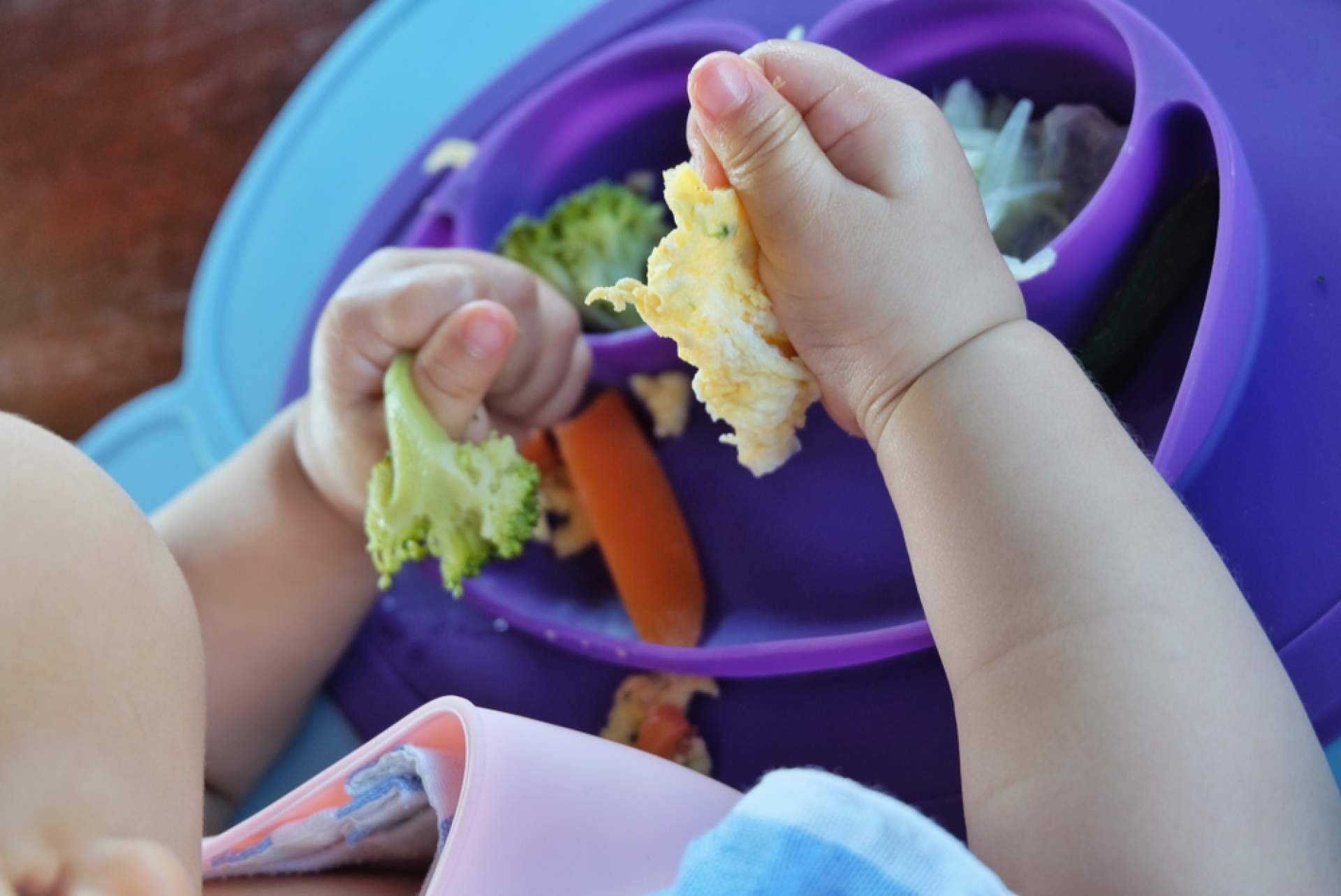 Todo sobre el destete para madres primerizas, de la mano de La Teta Que Alimenta