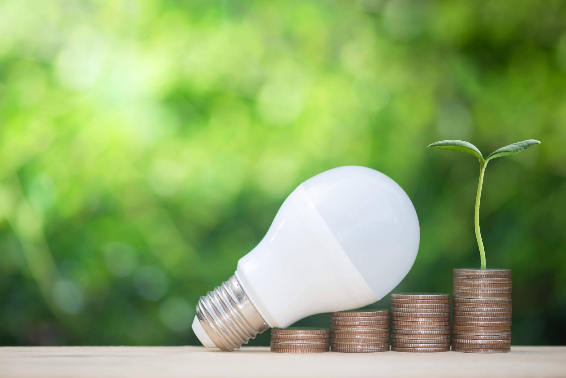 La relevancia de impulsar el ahorro energético