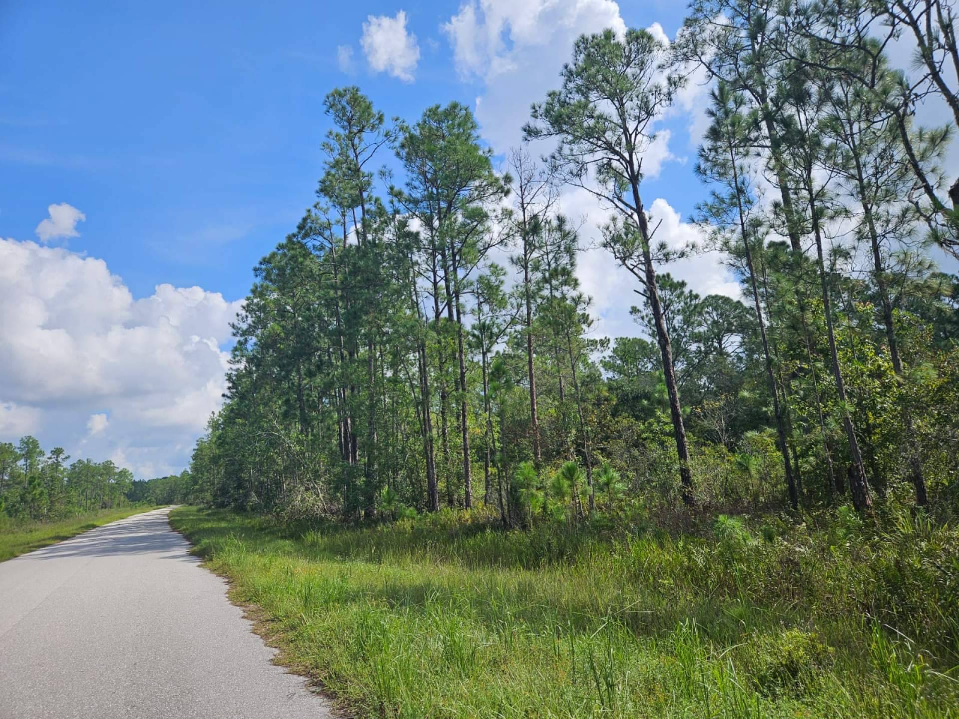 Aumenta el interés de invertir en Florida, según Vista Imark