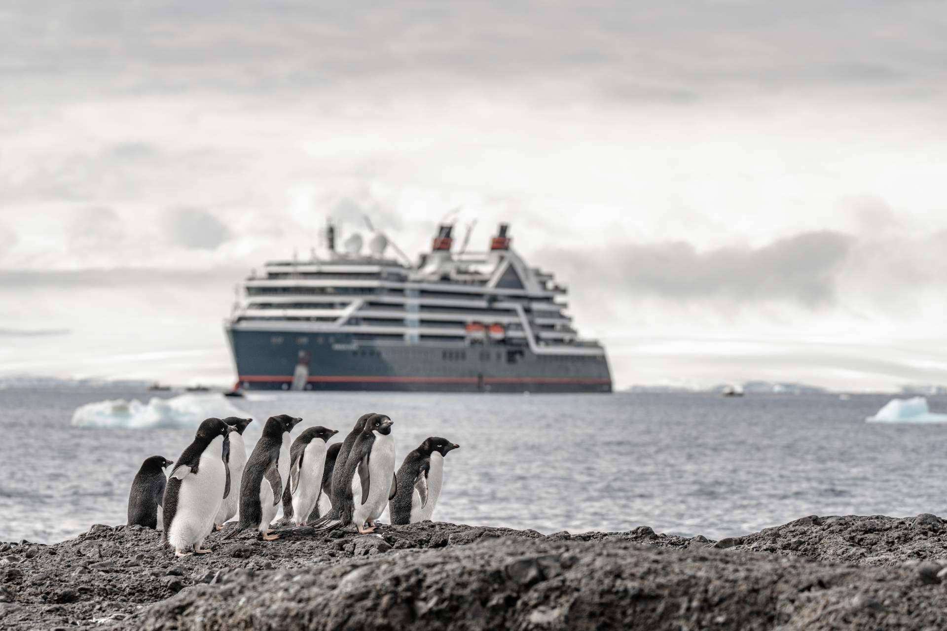 Seabourn Pursuit, el nuevo barco de expedición de ultralujo de la compañía Seabourn