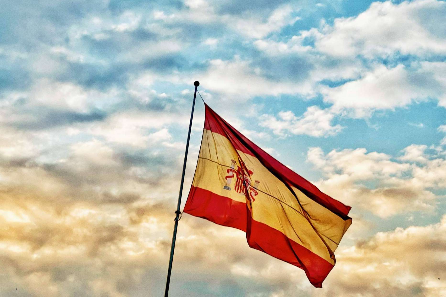 Todo sobre GCO Spain, la agencia que representa artistas plásticos hispanoamericanos