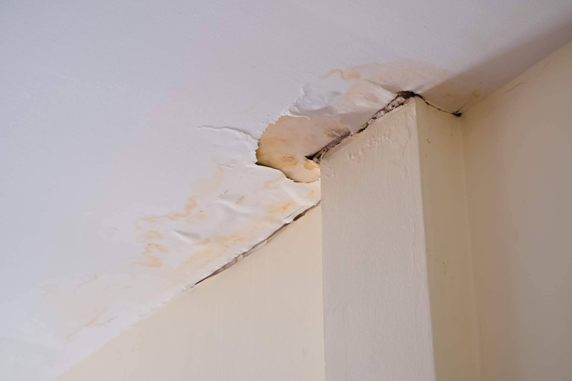 Detectar las humedades por capilaridad con Preactiva