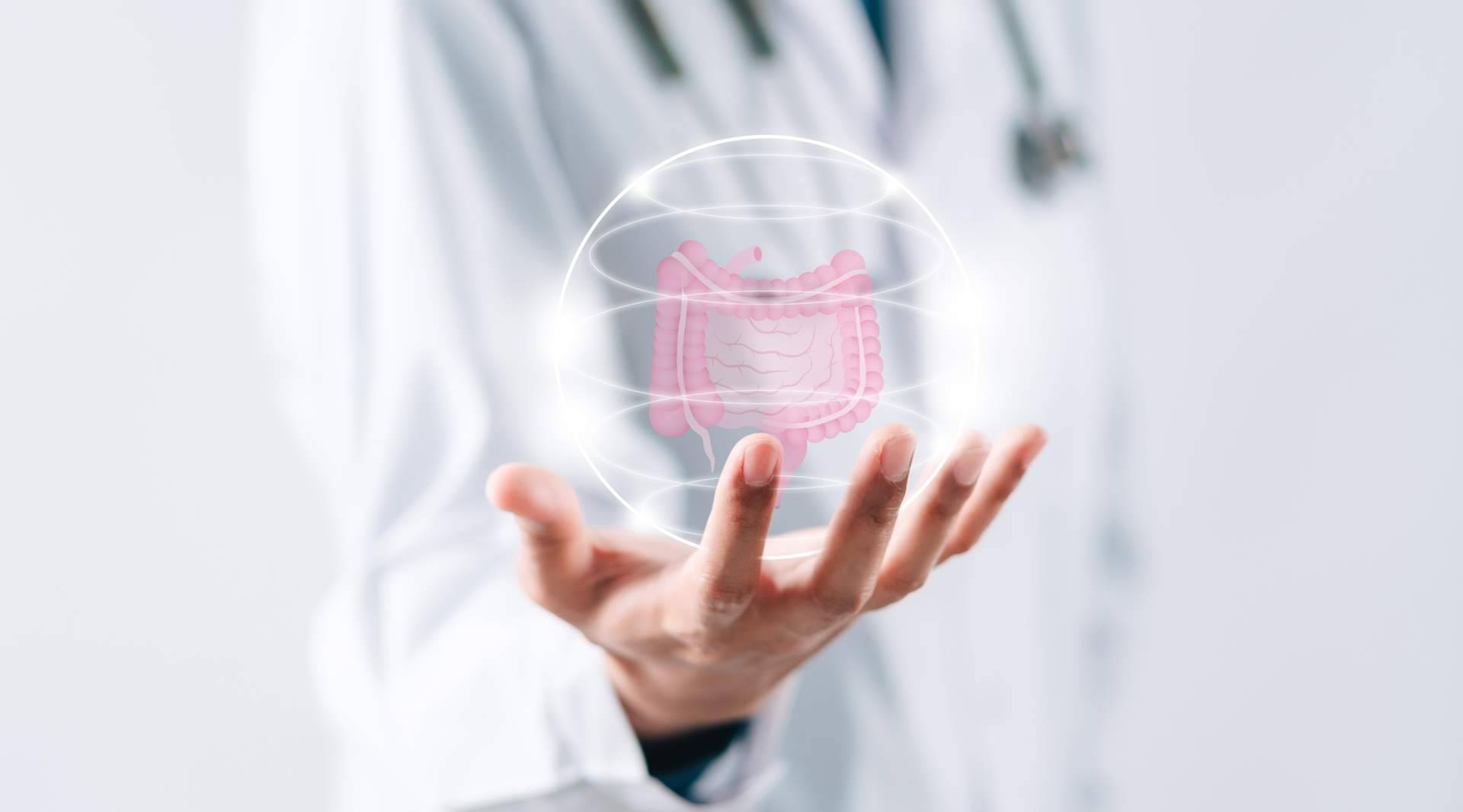 La importancia de la permeabilidad intestinal, por Bibefy