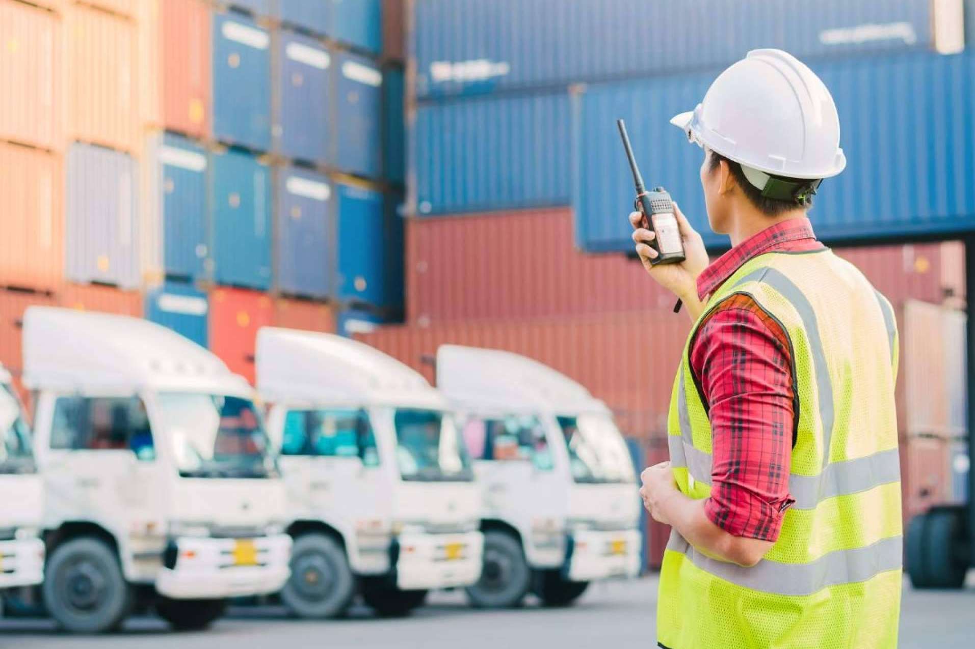 ¿Cómo es el servicio de mudanzas marítimas en contenedores que ofrece Redmoving?