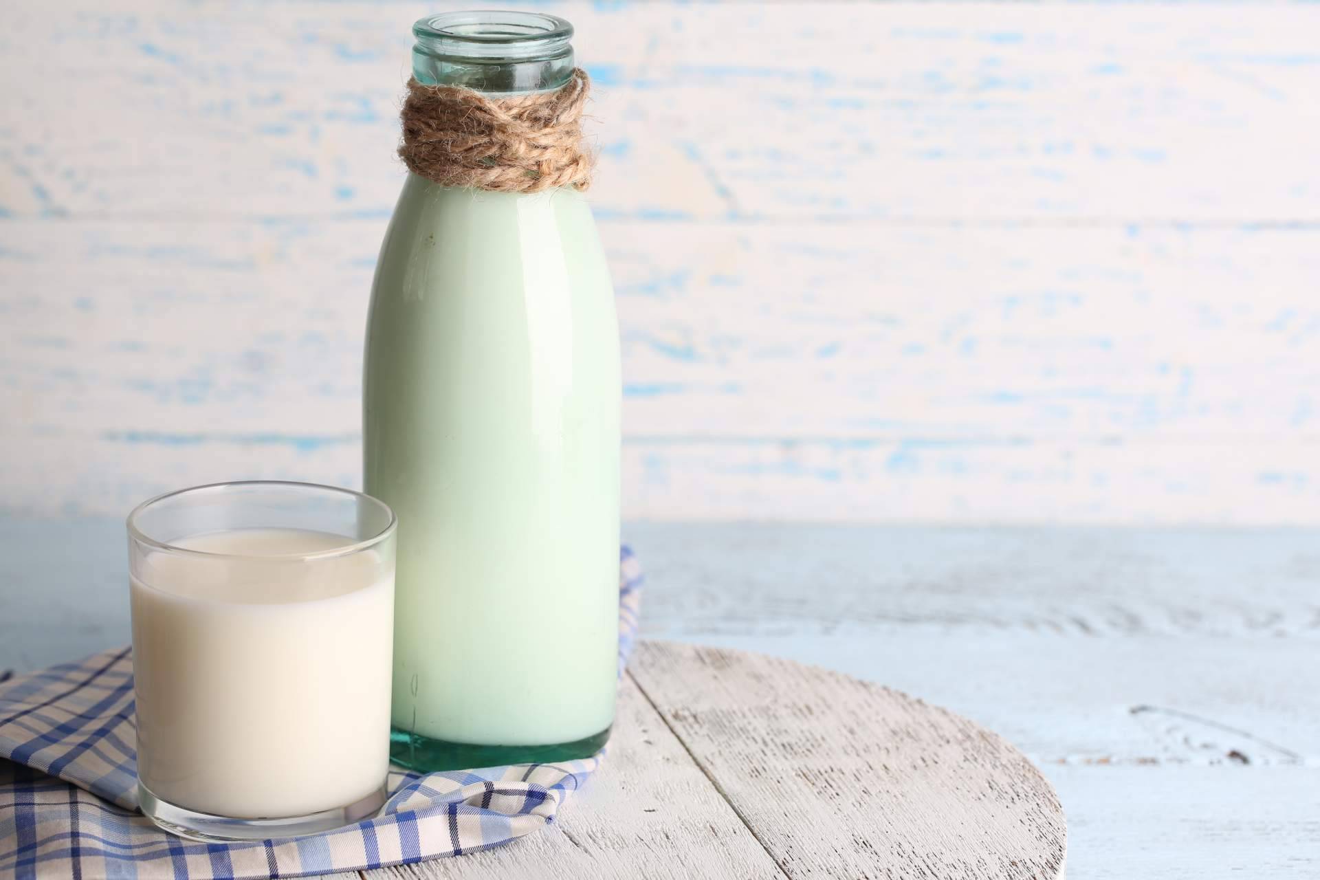 eQuaid innova en fórmulas que maximizan los beneficios de la leche de yegua
