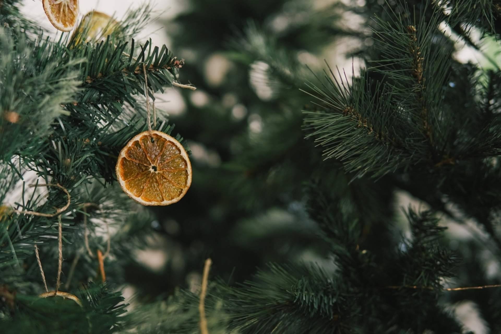 Navet se encarga de la venta de árboles de Navidad naturales