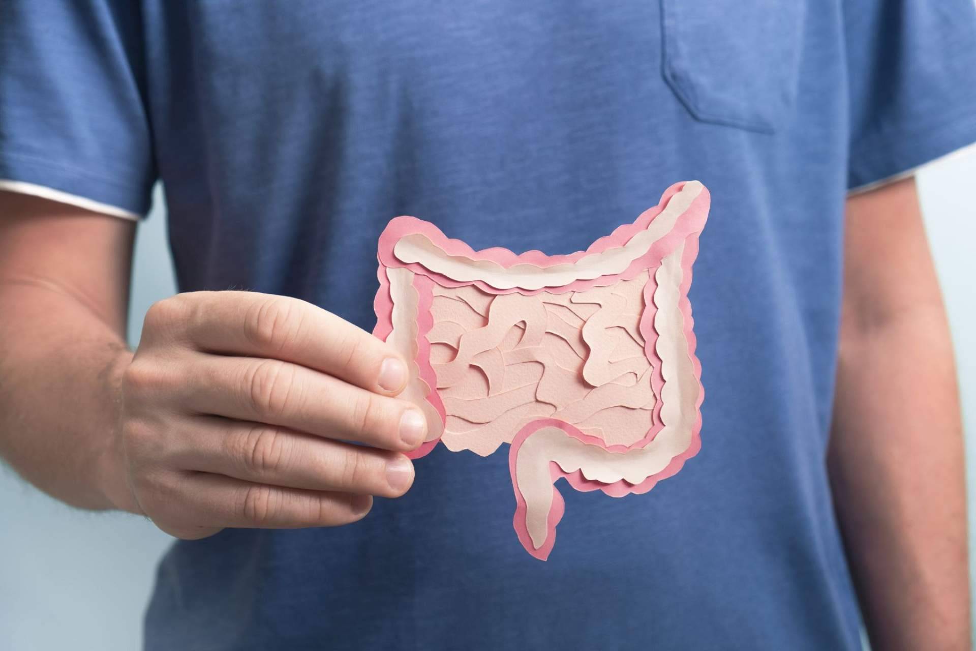 Cuidar la flora intestinal de la mano de los probióticos de Bibefy