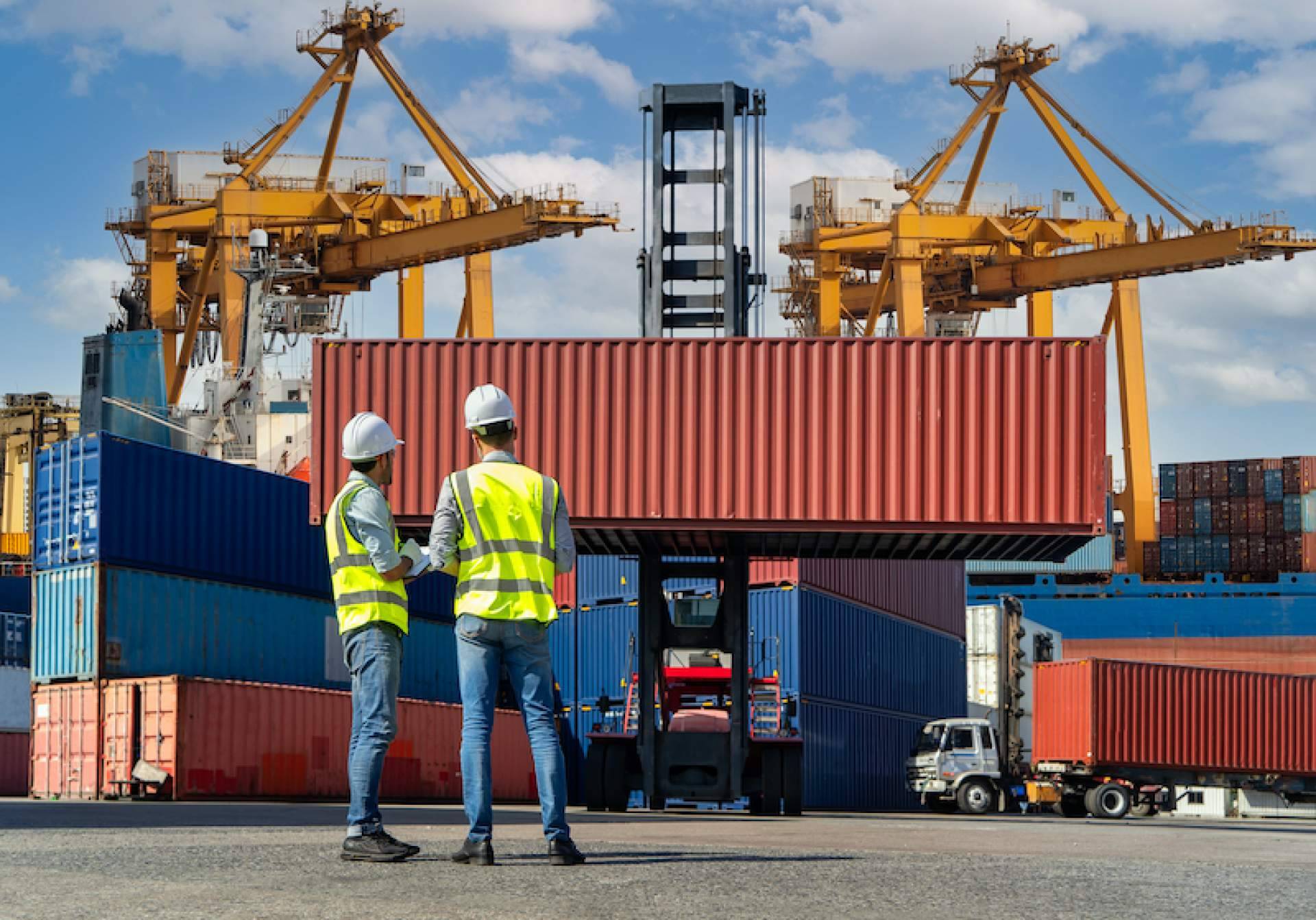 ¿Cuál es el papel de la tecnología dentro del sector del transitario?