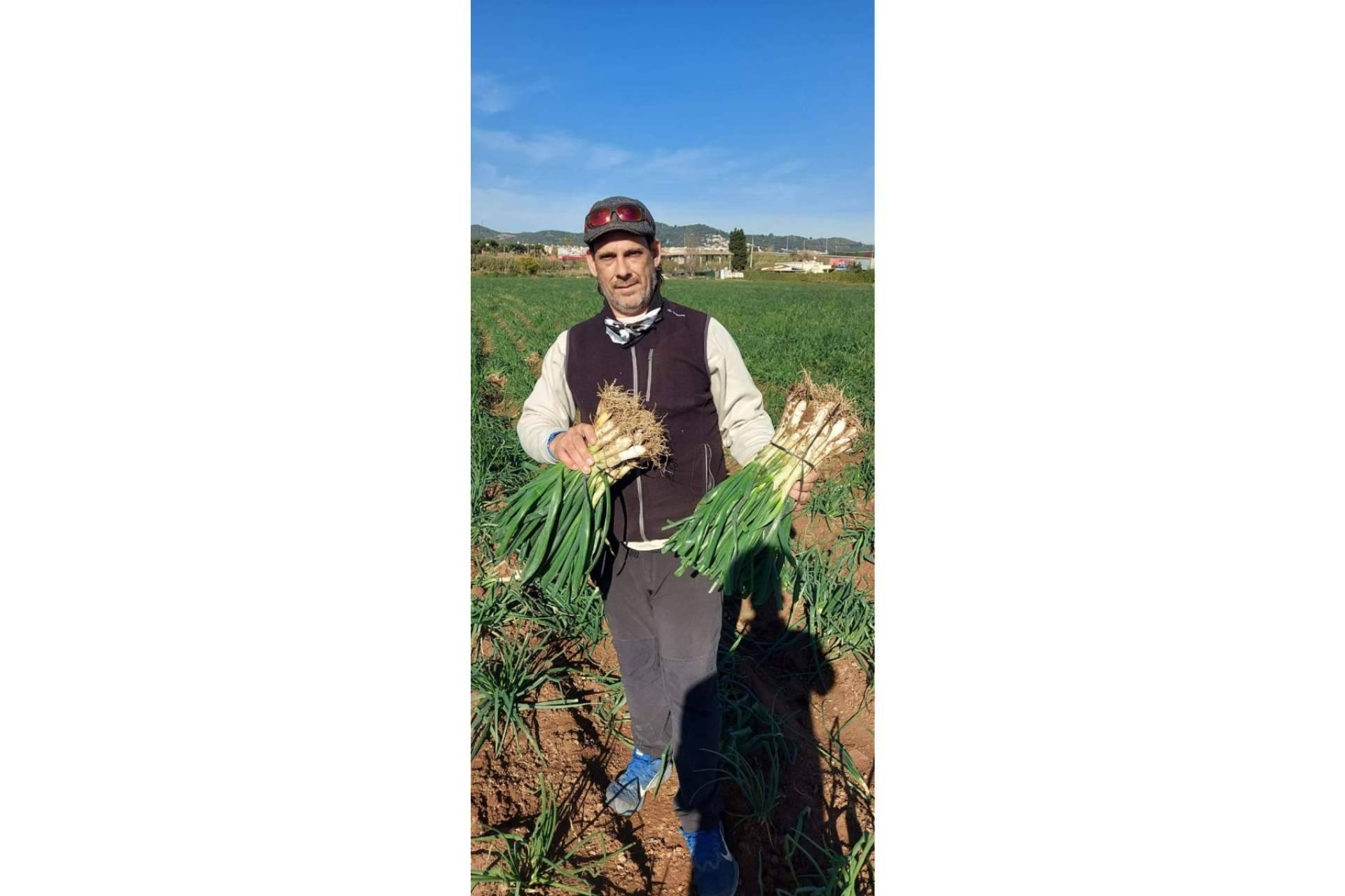 Calçots de cosecha propia de la mano de Cal Delaida