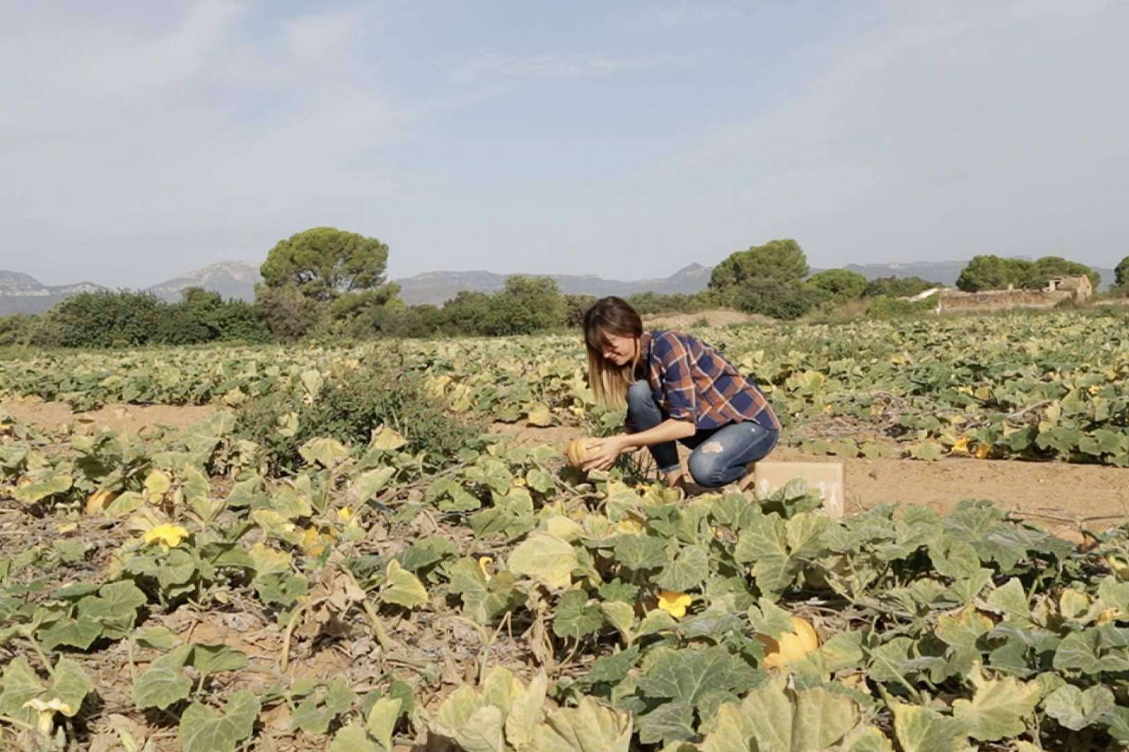 Disfruta y Verdura y su top 20 de otoño