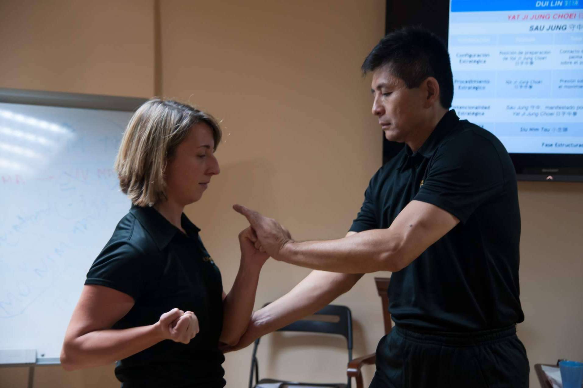 Acceso al Sistema Ving Tsun con Moy Yat Ving Tsun Martial Intelligence