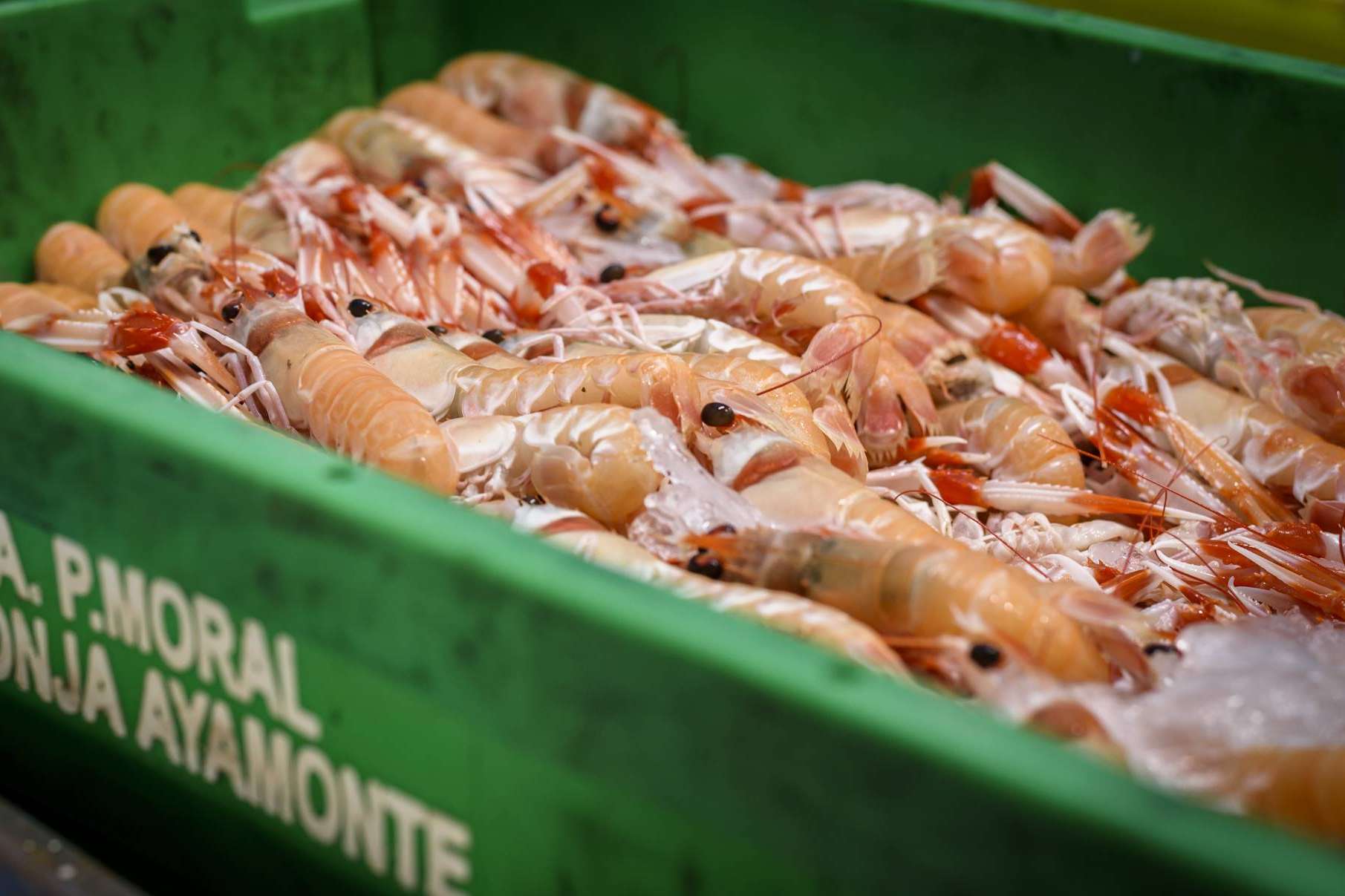 Lonja de Ayamonte, la opción para comprar marisco para Navidad