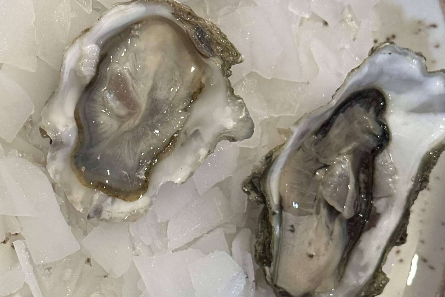 La marisquería Rías Baixas Pulpería ofrece una experiencia gastronómica mediterránea