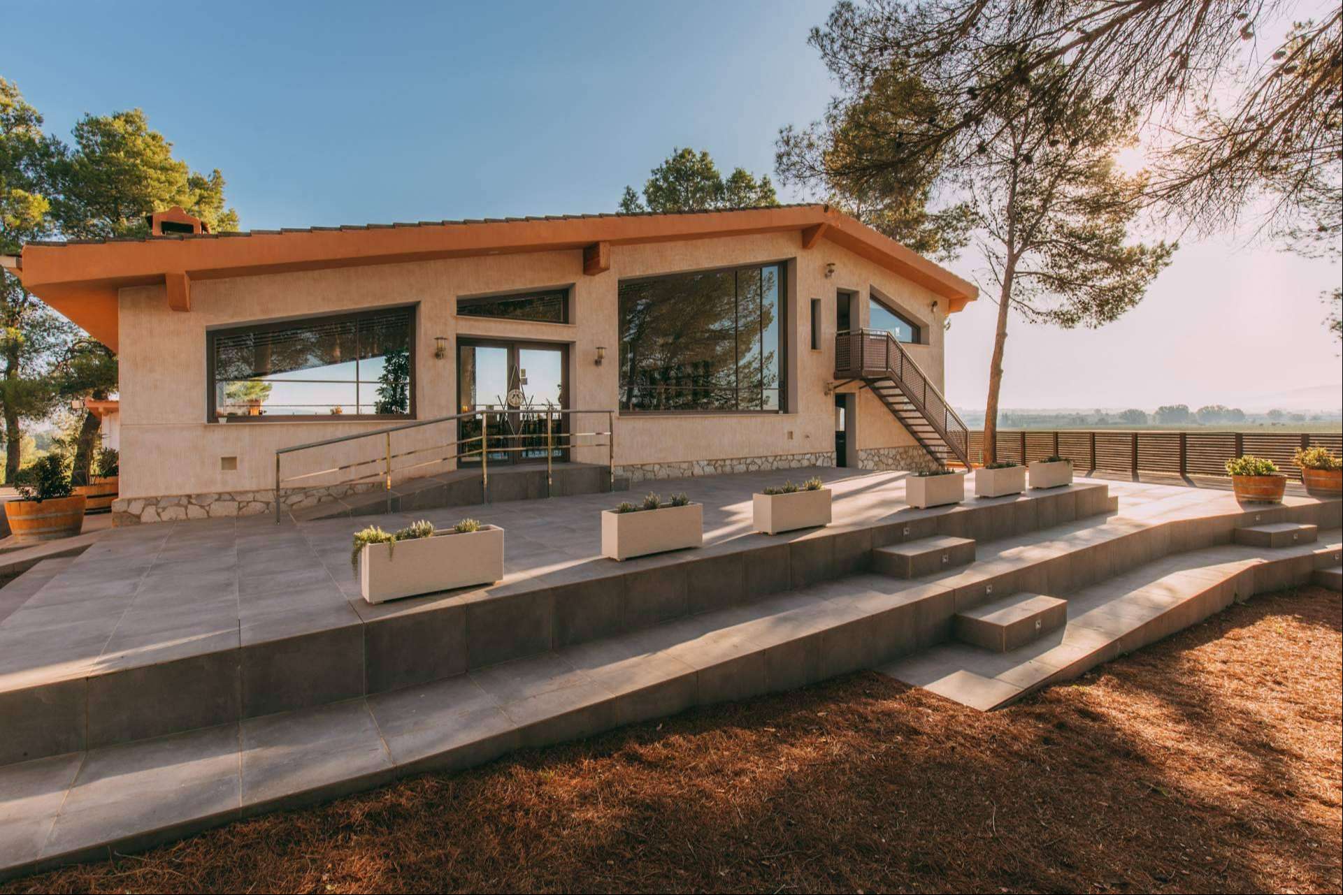 La personalidad única de los vinos de Bodegas Vegalfaro con el cultivo ecológico