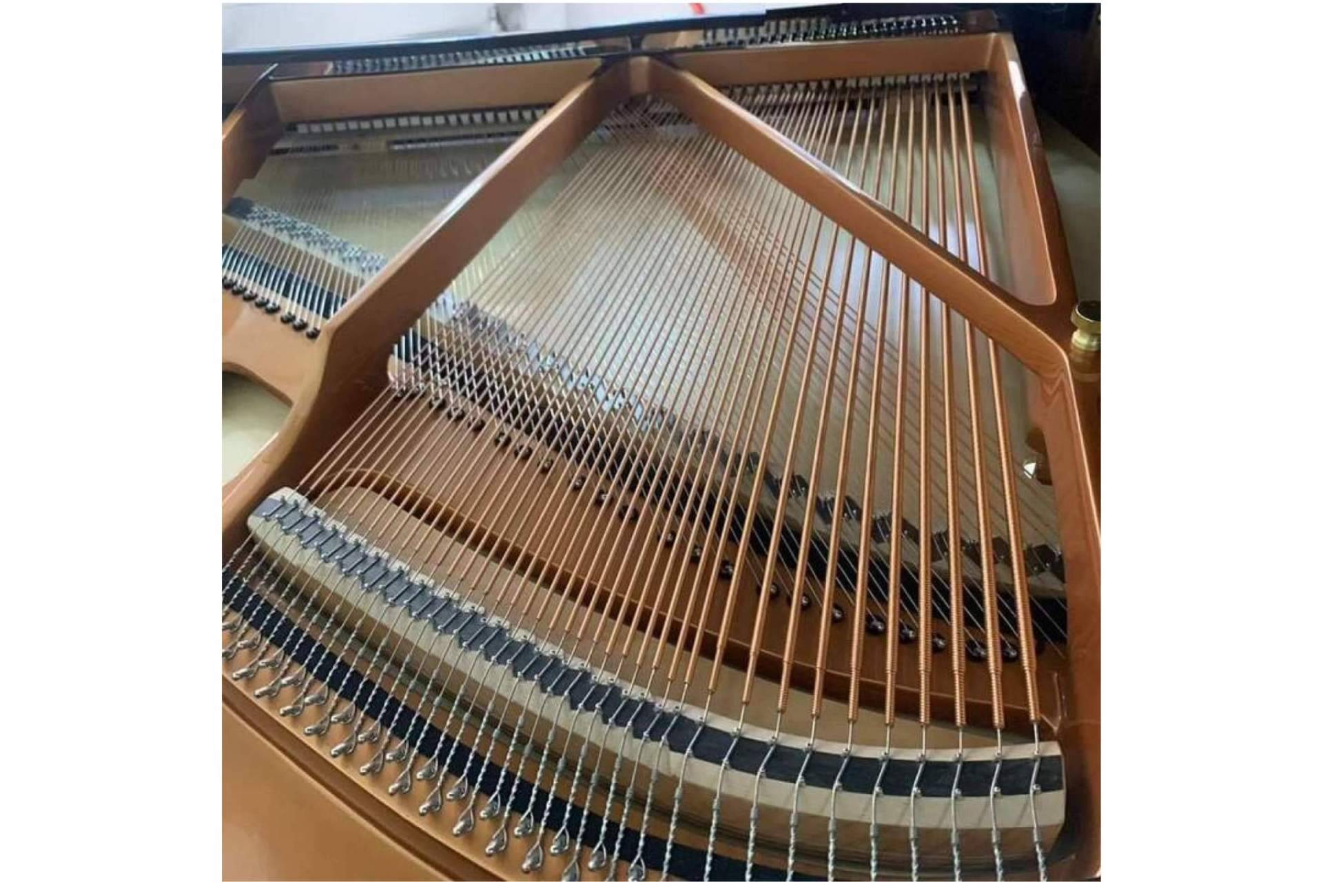 Real Music Spain, especialistas en pianos profesionales