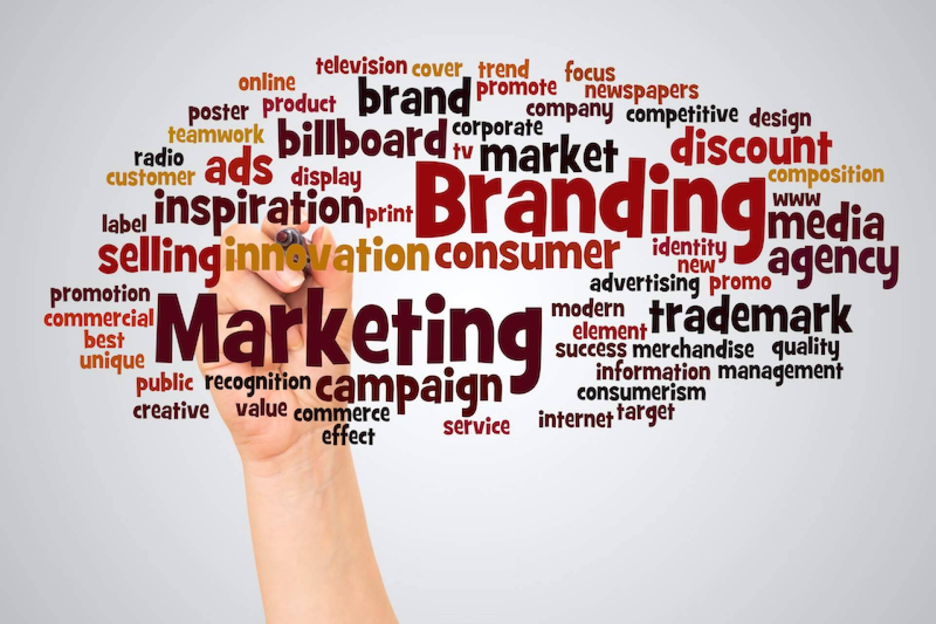 Las estrategias de la agencia de marketing digital en Barcelona, Digital Momentum