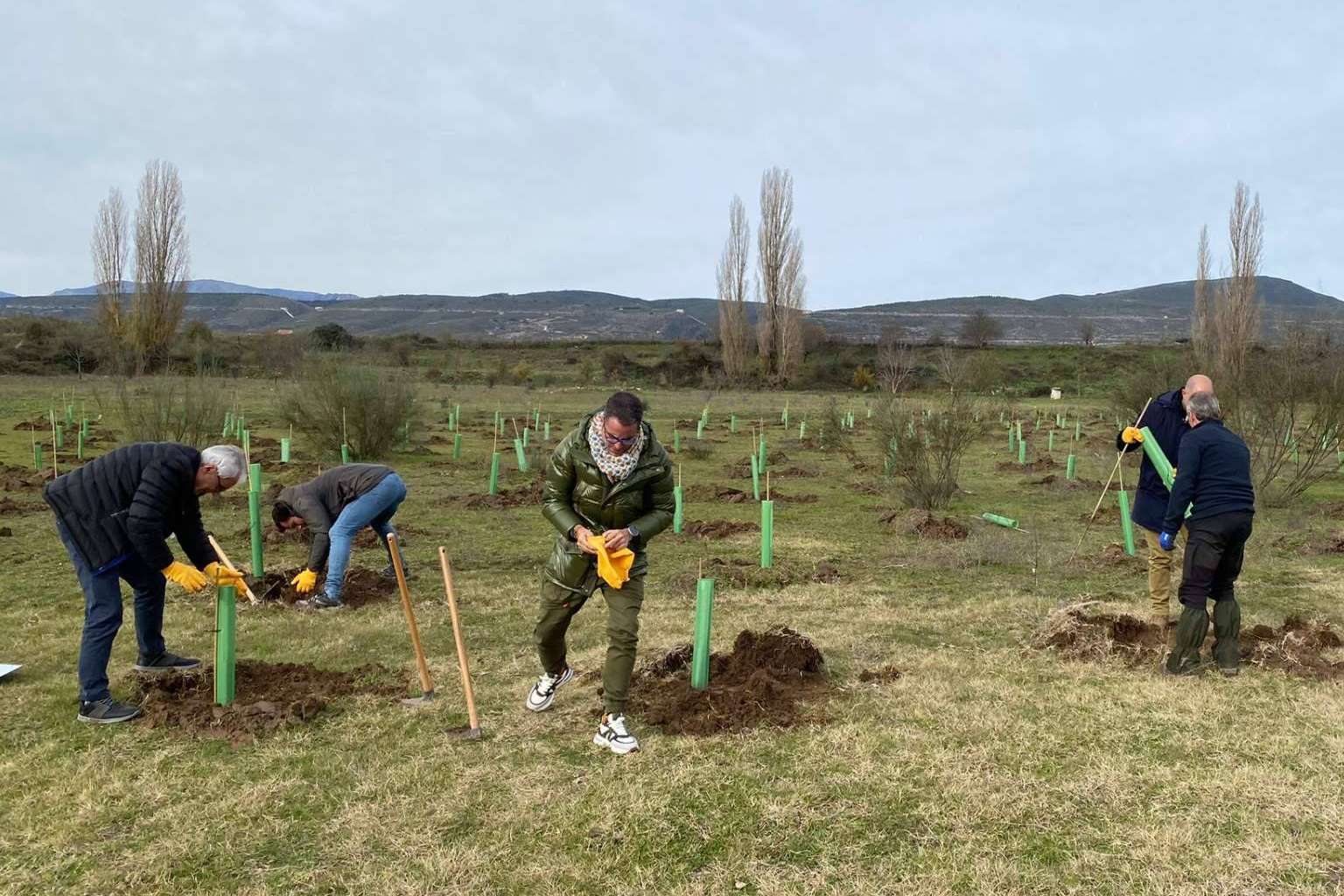 Foxy y Fundación Alcoraz; en Torremocha de Jarama, nuevo bosque
