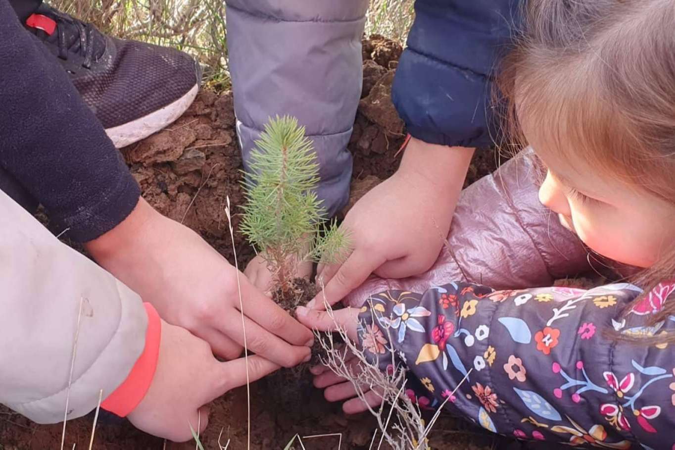 Jornadas de plantación exitosas en La Rioja. El compromiso de NONODOOM con el medioambiente
