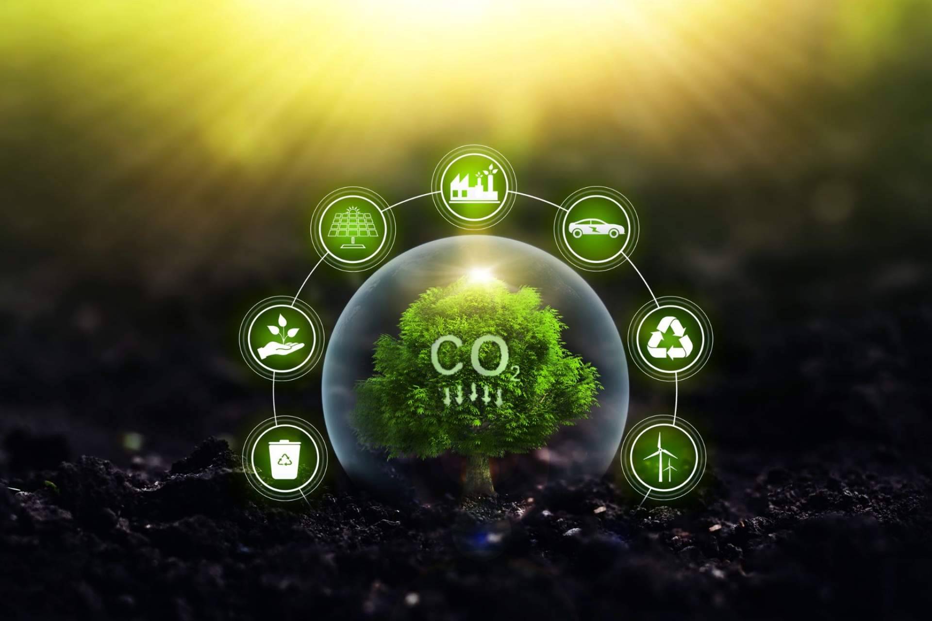 Multienergía Verde reduce su huella de carbono en un 90 % desde 2019