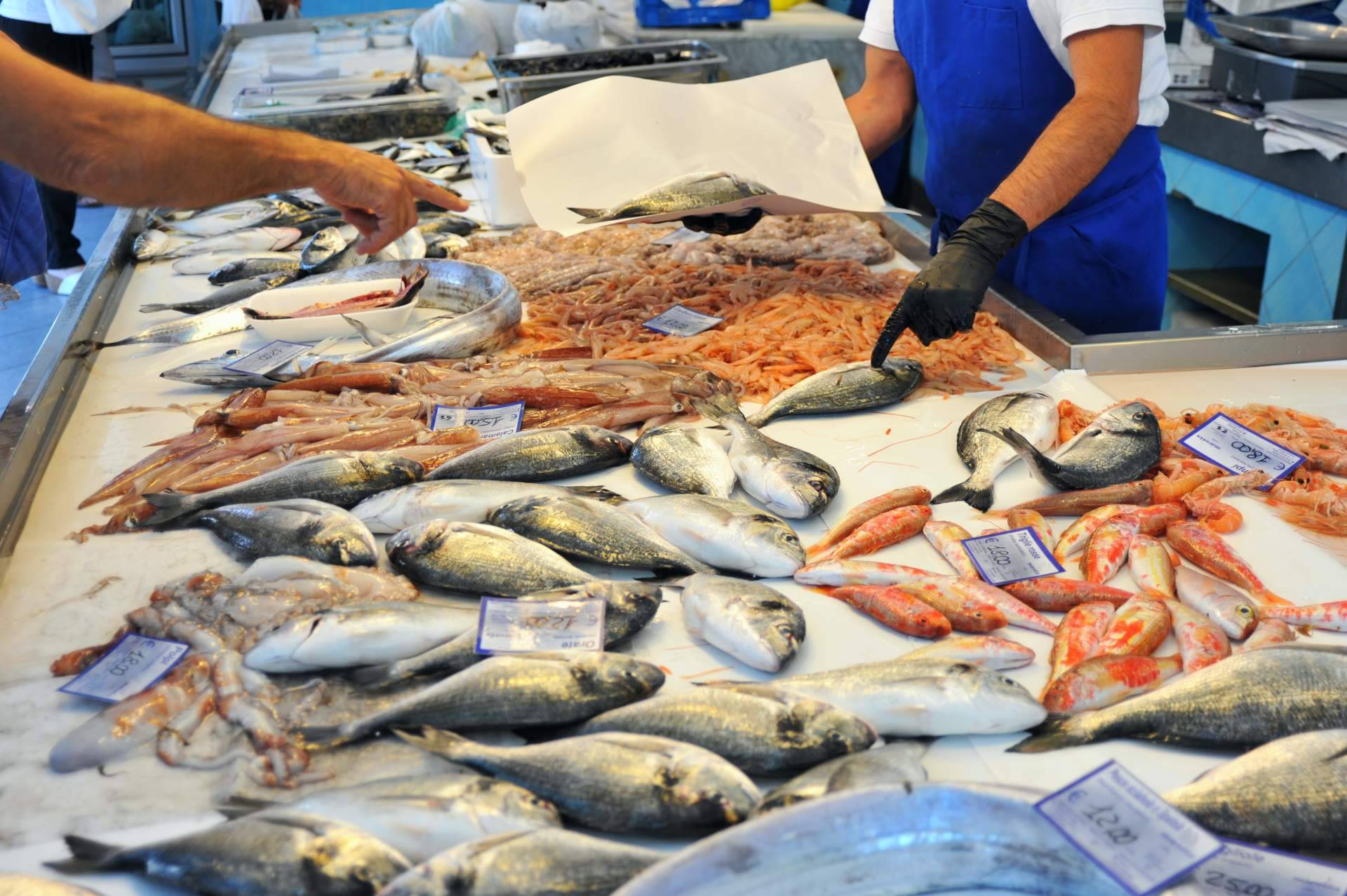 Encontrar crustáceos frescos en Pescadería Younes Ceuta