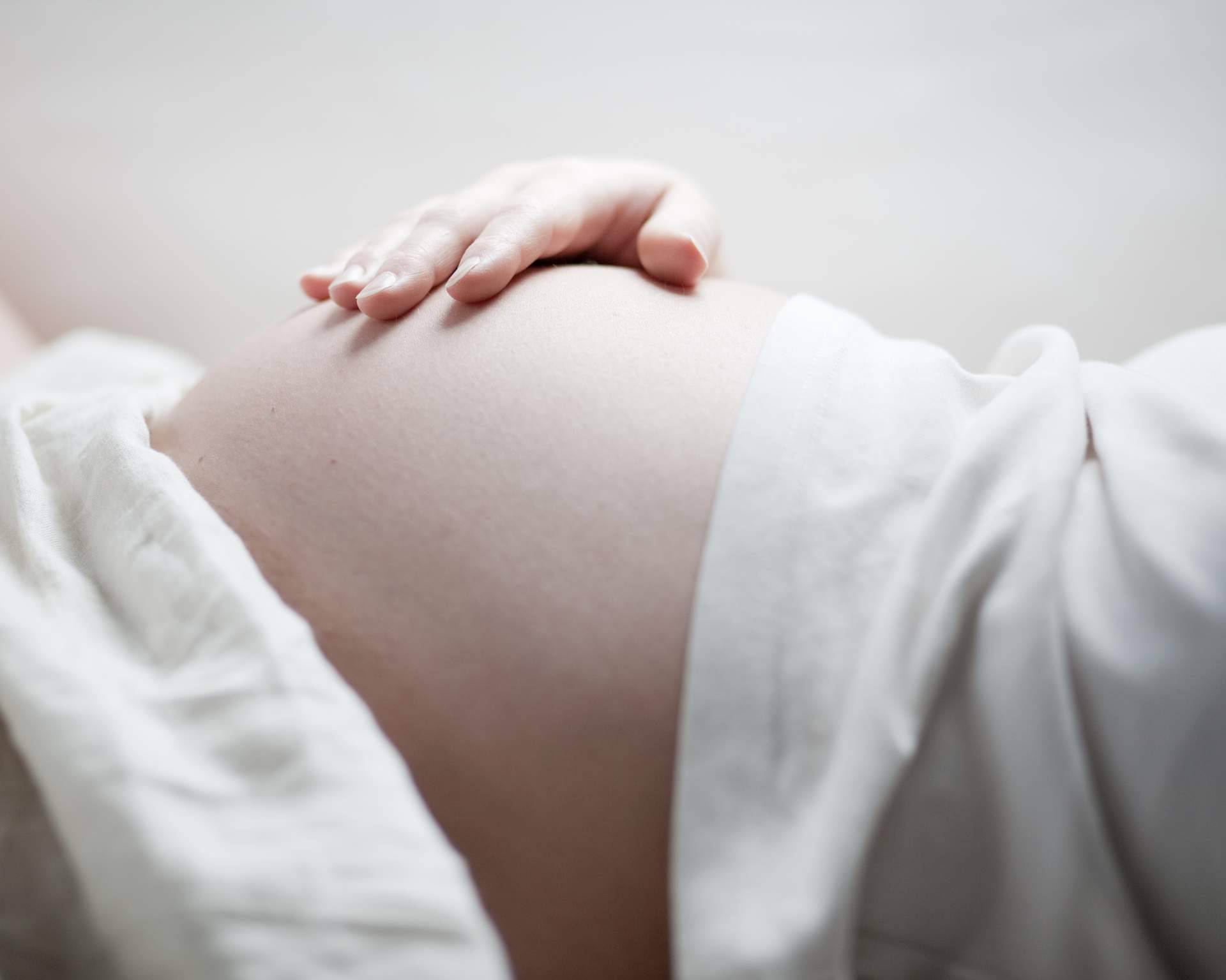 Elegansse sobre la fertilidad femenina