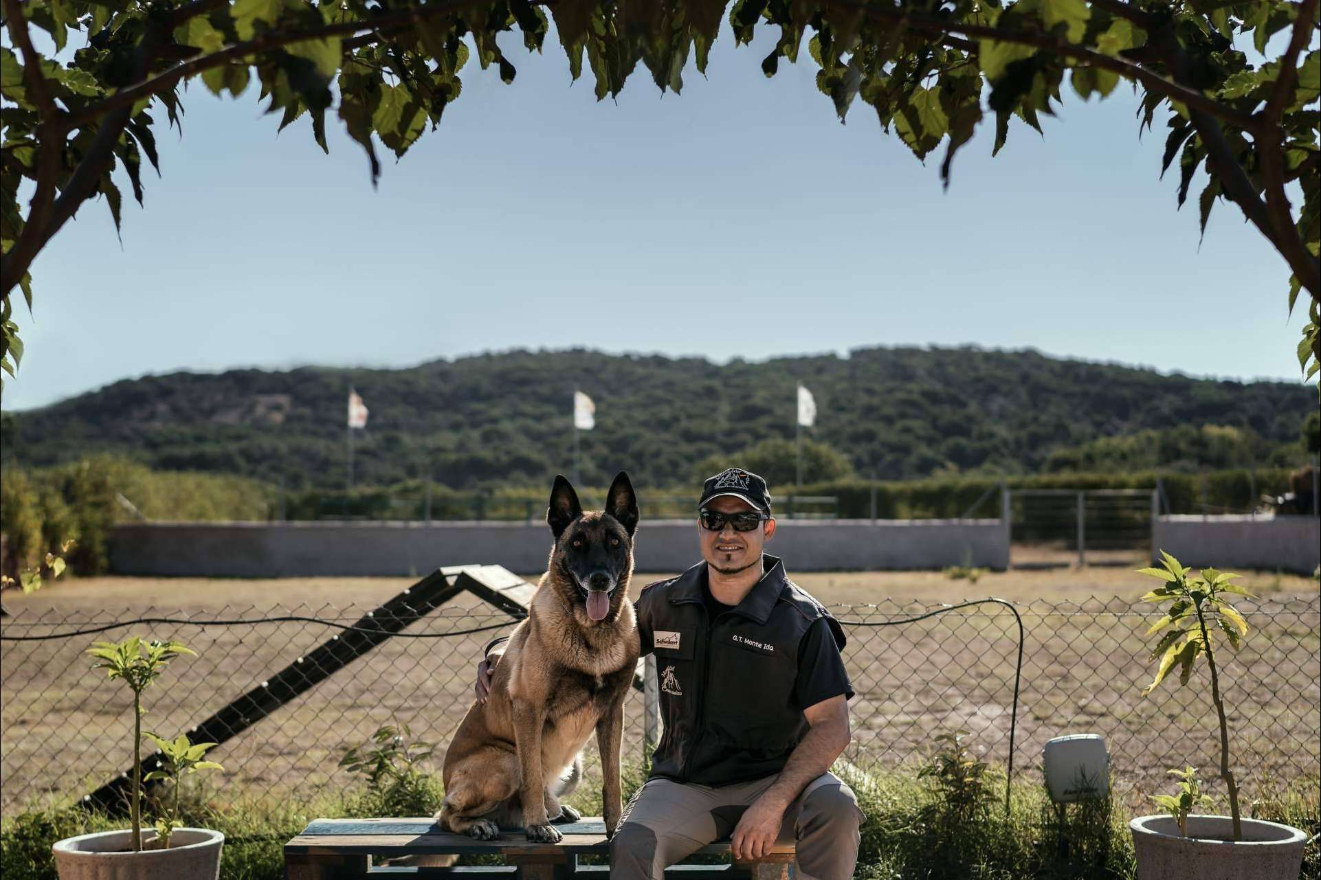 Monte Ida, un centro canino con zonas de esparcimiento para perros en Madrid