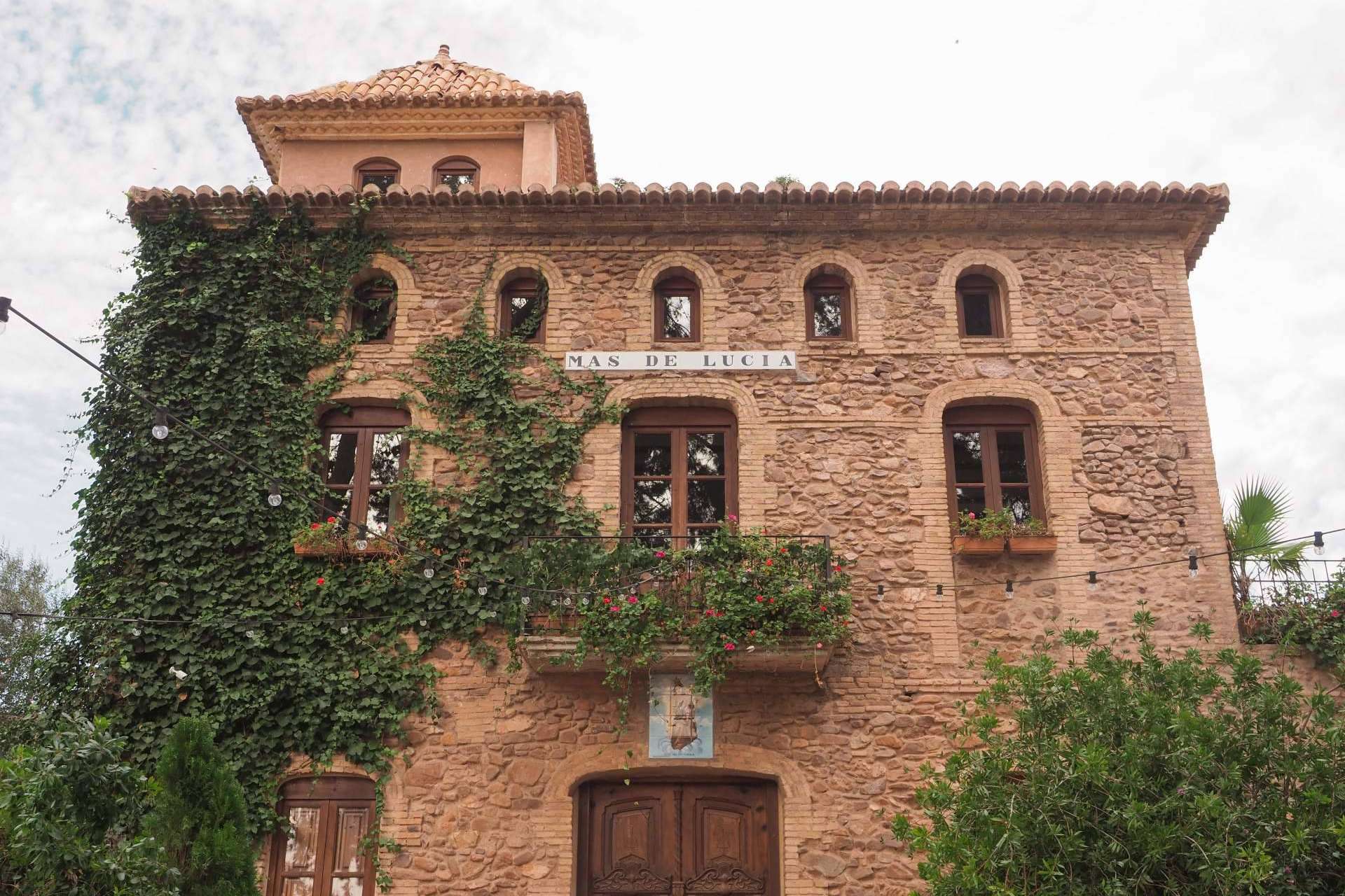 Un tributo a la conexión entre Lucía y Cía. y el Mas de Lucía, el banquete de mandarinas