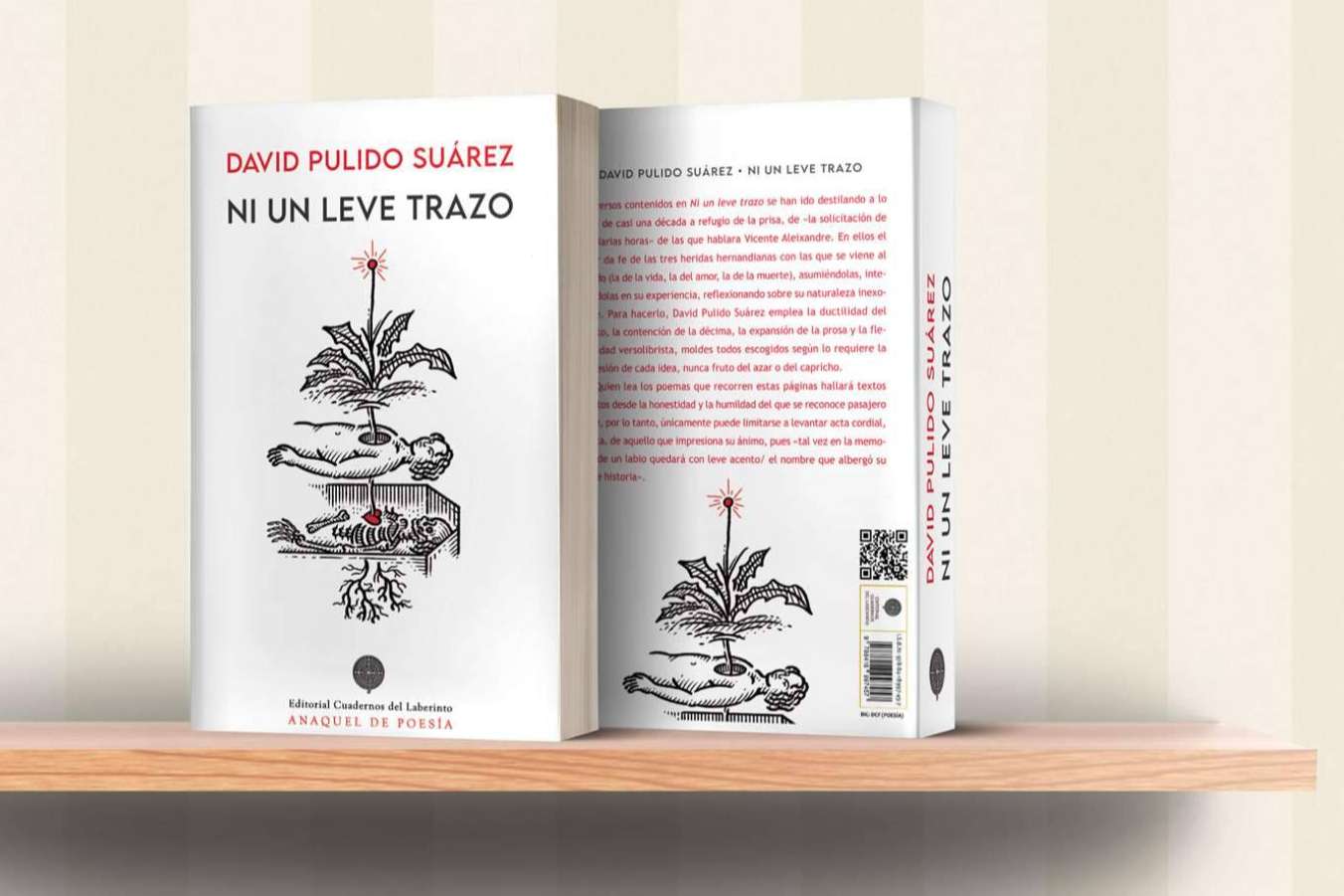 David Pulido, cuando la poesía es auténtica y cercana. ‘Ni un leve trazo’ llega a las librerías de toda España