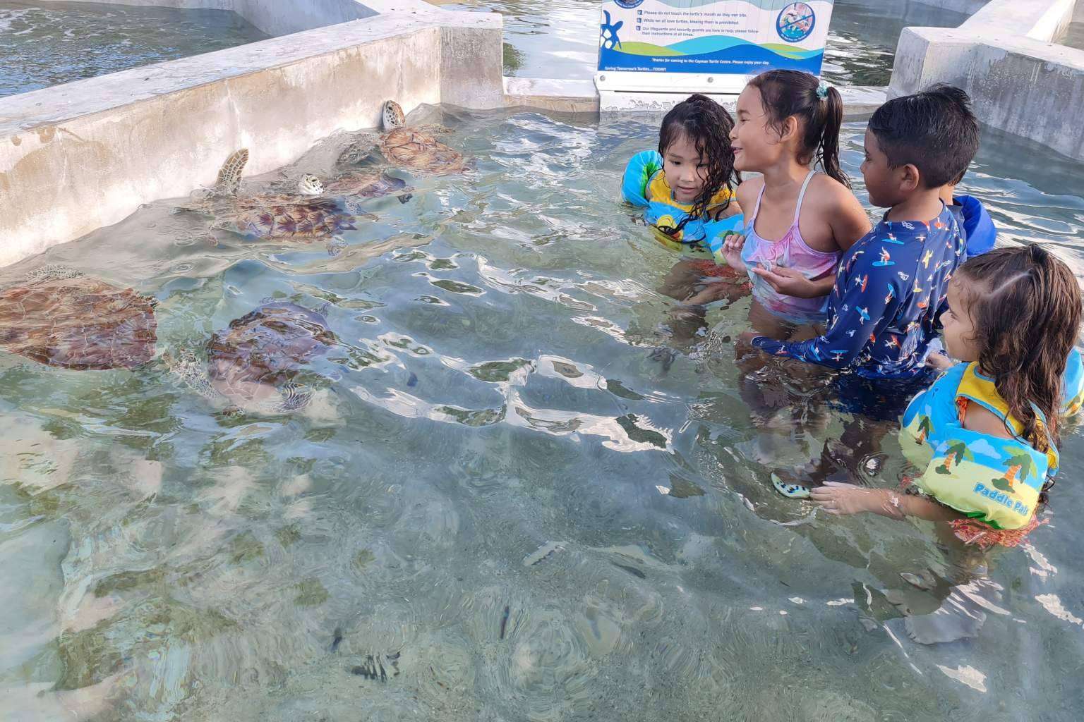 La agencia Cayman Ocean Adventures ofrece paquetes de excursión para Turtle Centre