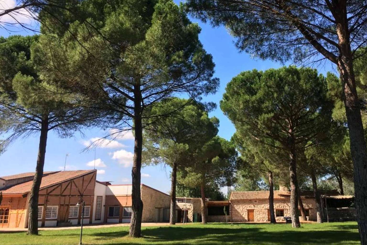 Aula Joven ofrece campamentos de verano en La Senda de Matapozuelos