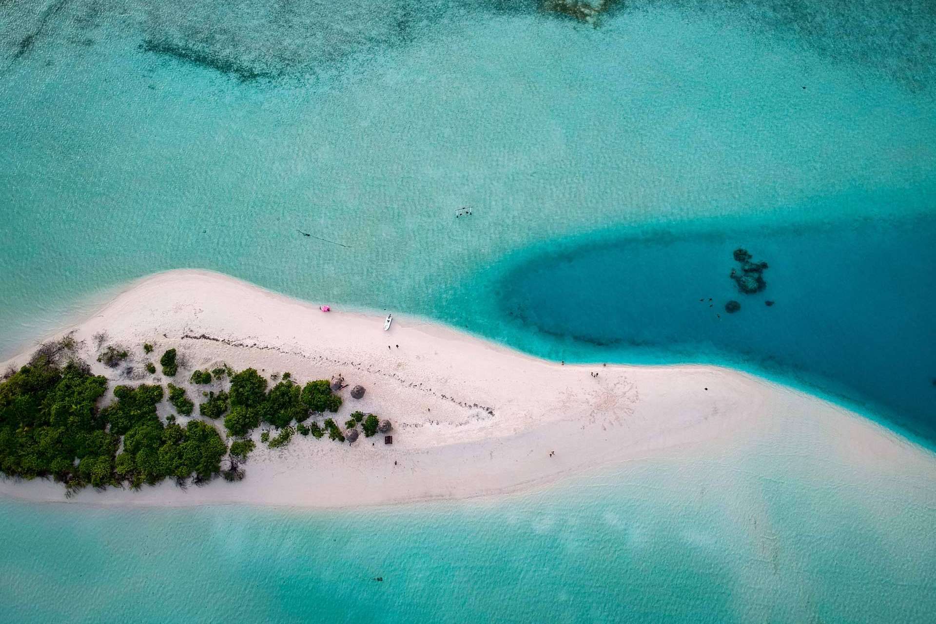 Drop Dive Maldives ofrece la posibilidad de disfrutar de la isla de buceo Rasdhoo