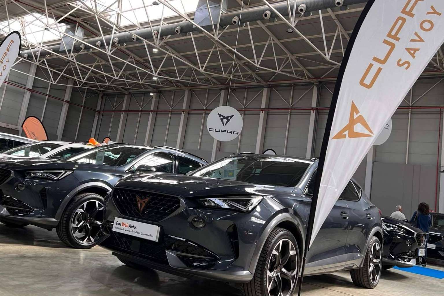 ¿Cuáles son las ventajas de tener un coche del Grupo Ávolo?