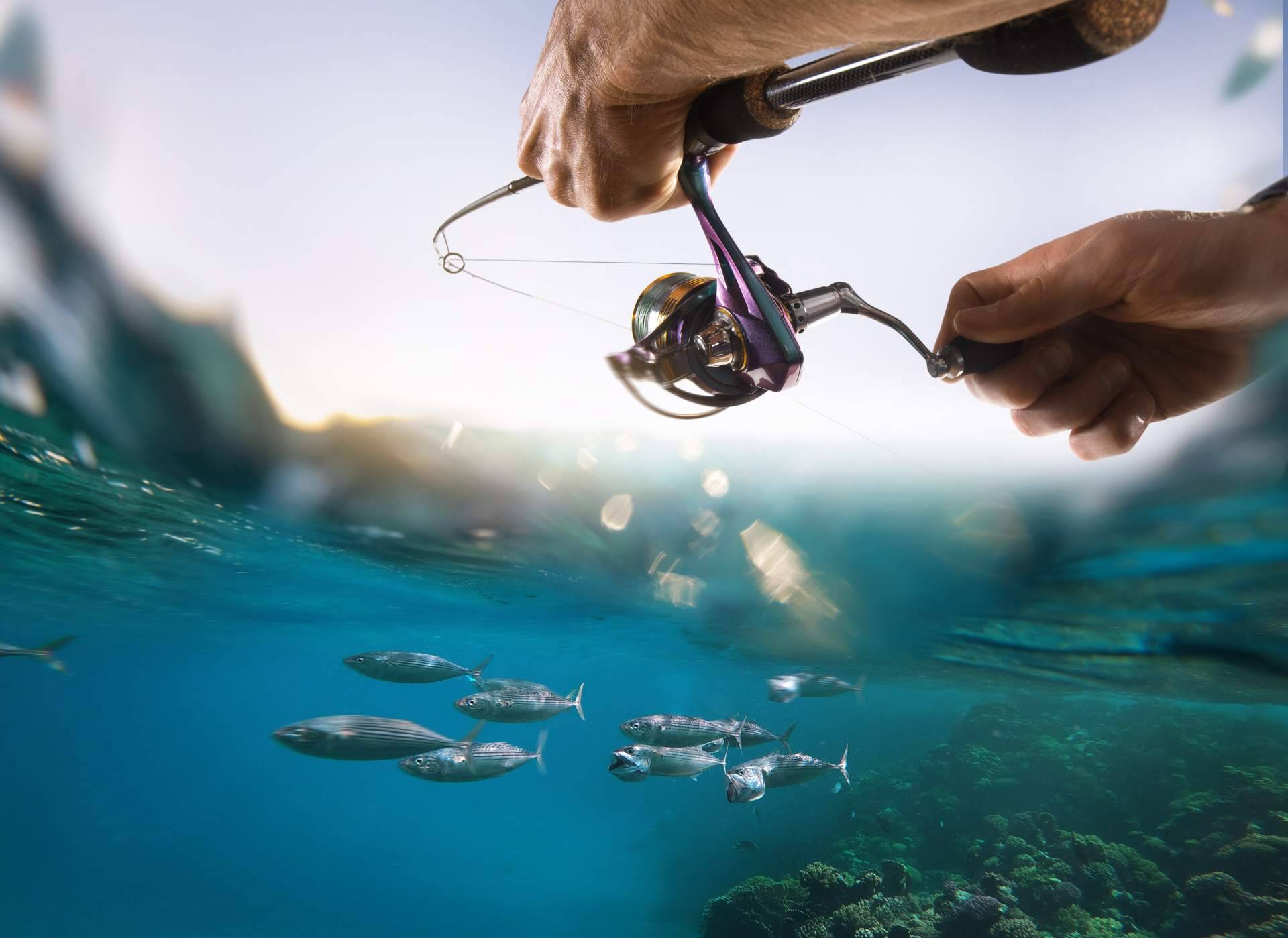 Pescamar brinda recomendaciones para la temporada de pesca de atún 2024