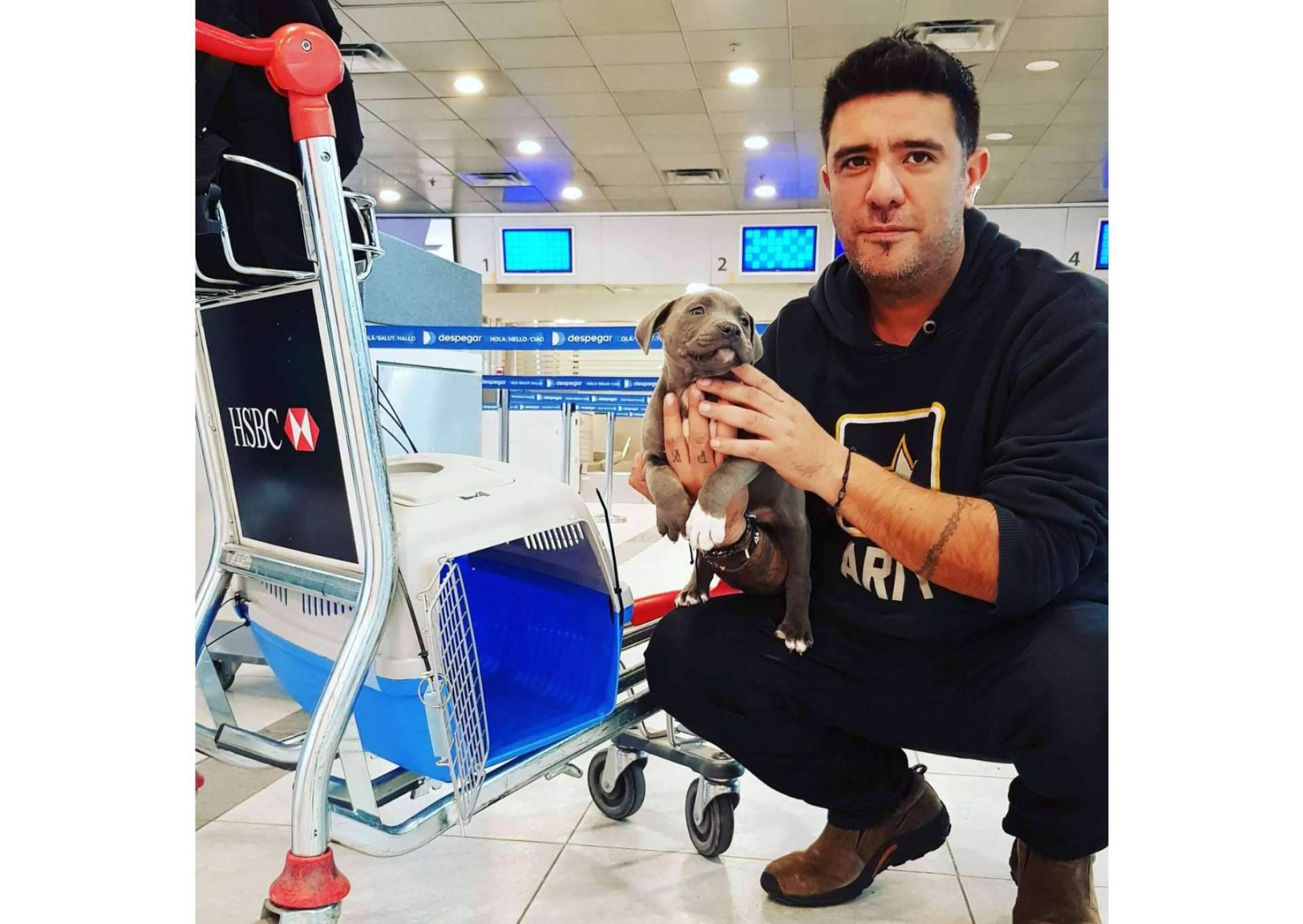 Pet World Travel, una solución en el transporte de mascotas a nivel nacional e internacional