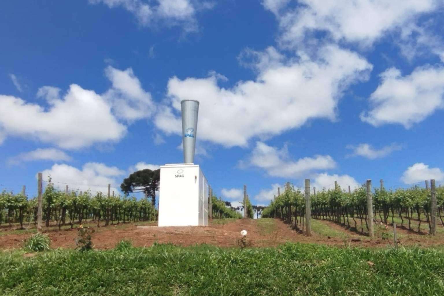 El producto que está revolucionando la agricultura para proteger los cultivos del granizo